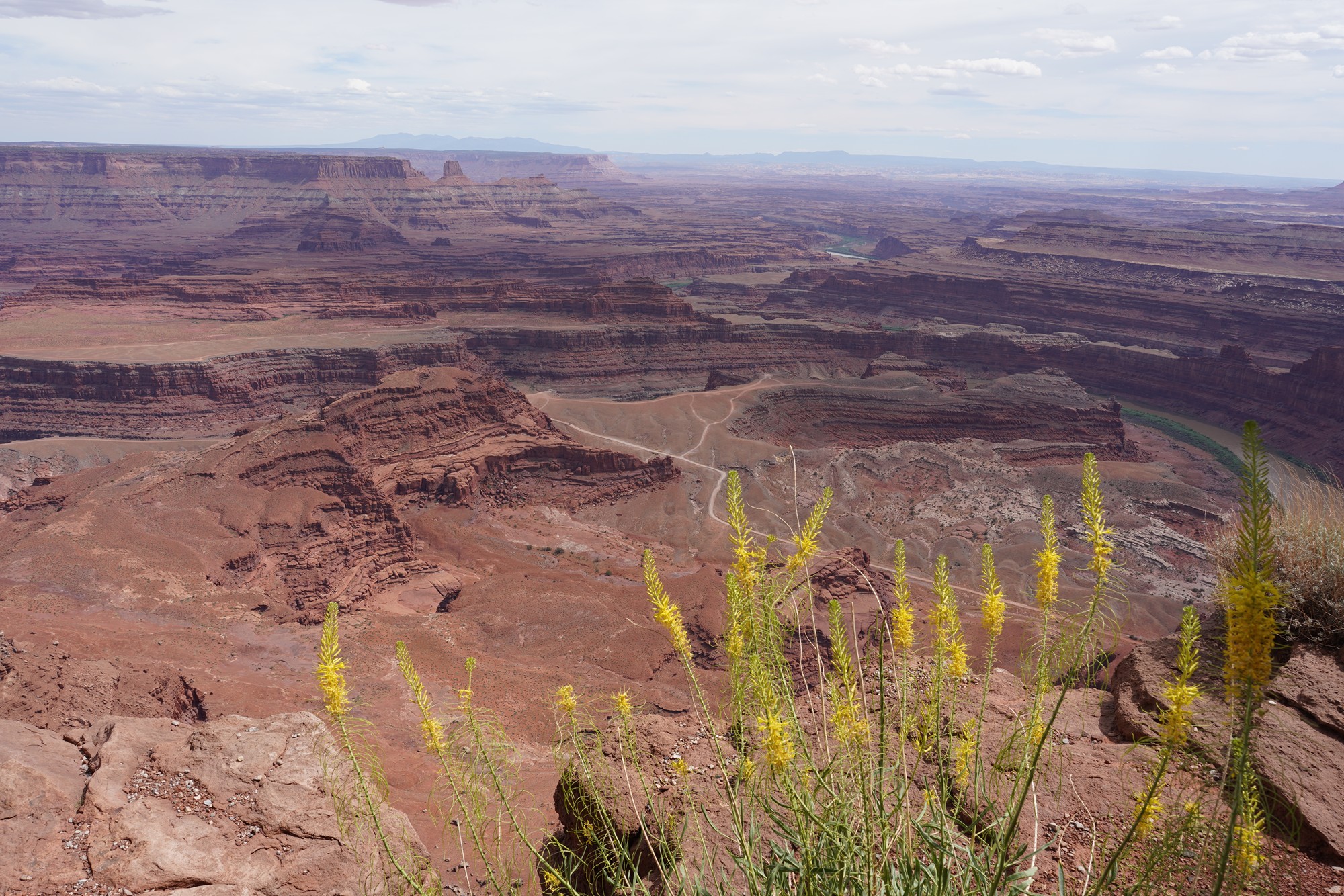 Dead Horse Point State Park (13)