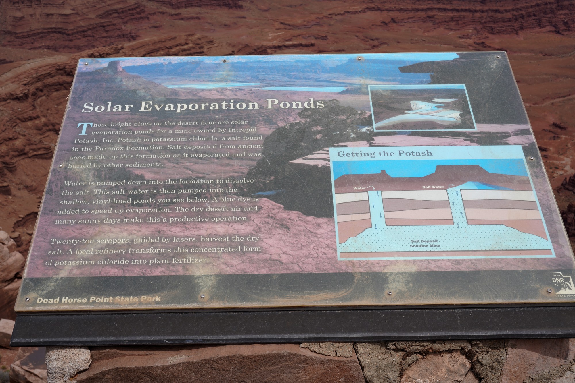 Dead Horse Point State Park (5)