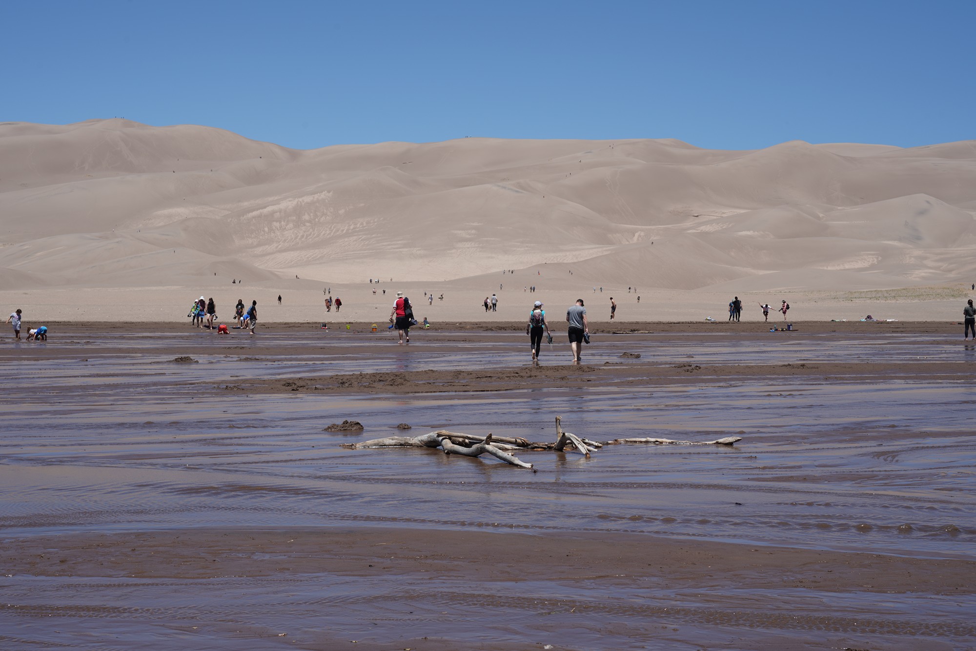Great Sand Dunes NP (12)