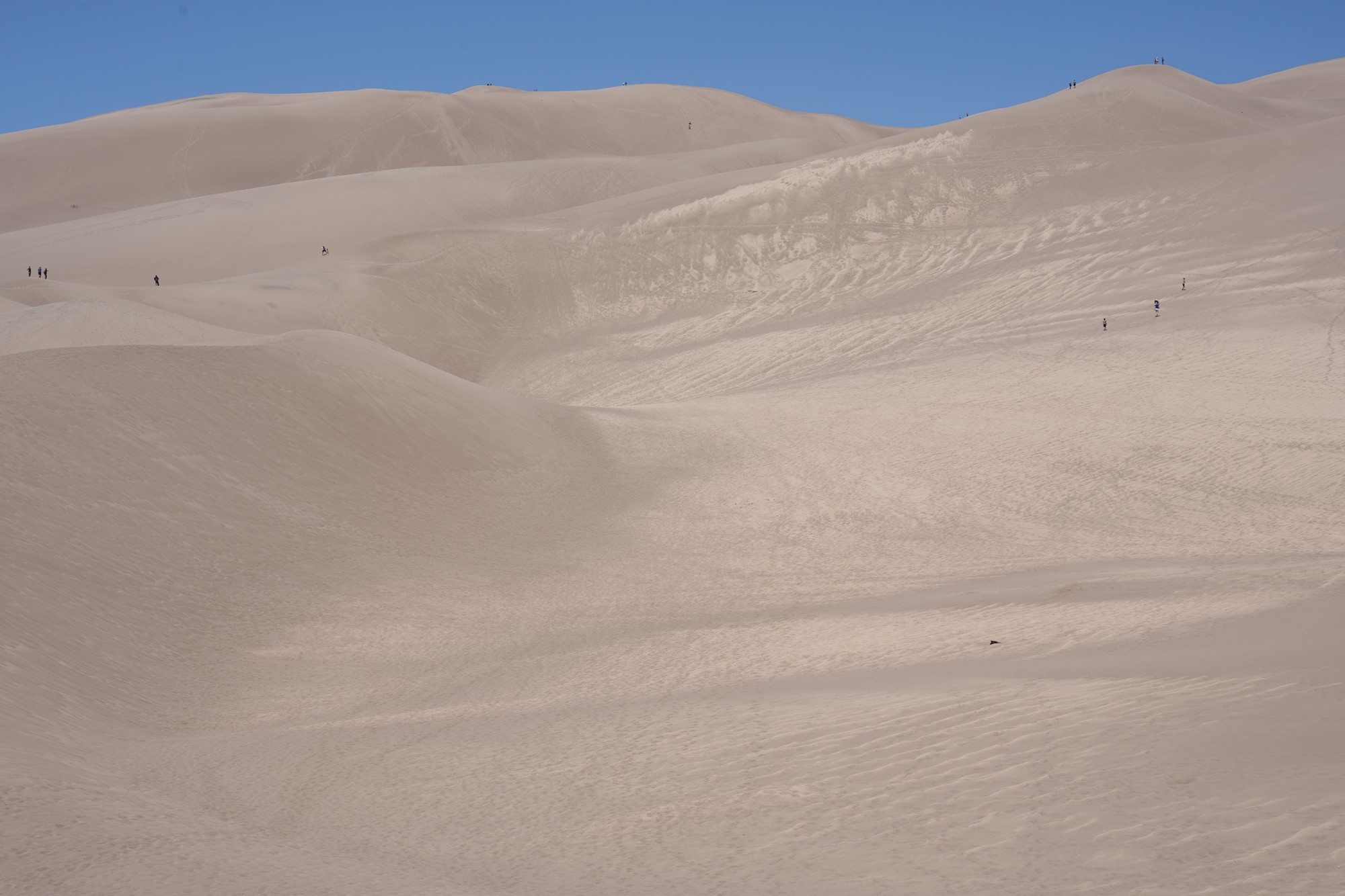 Great Sand Dunes NP (21)