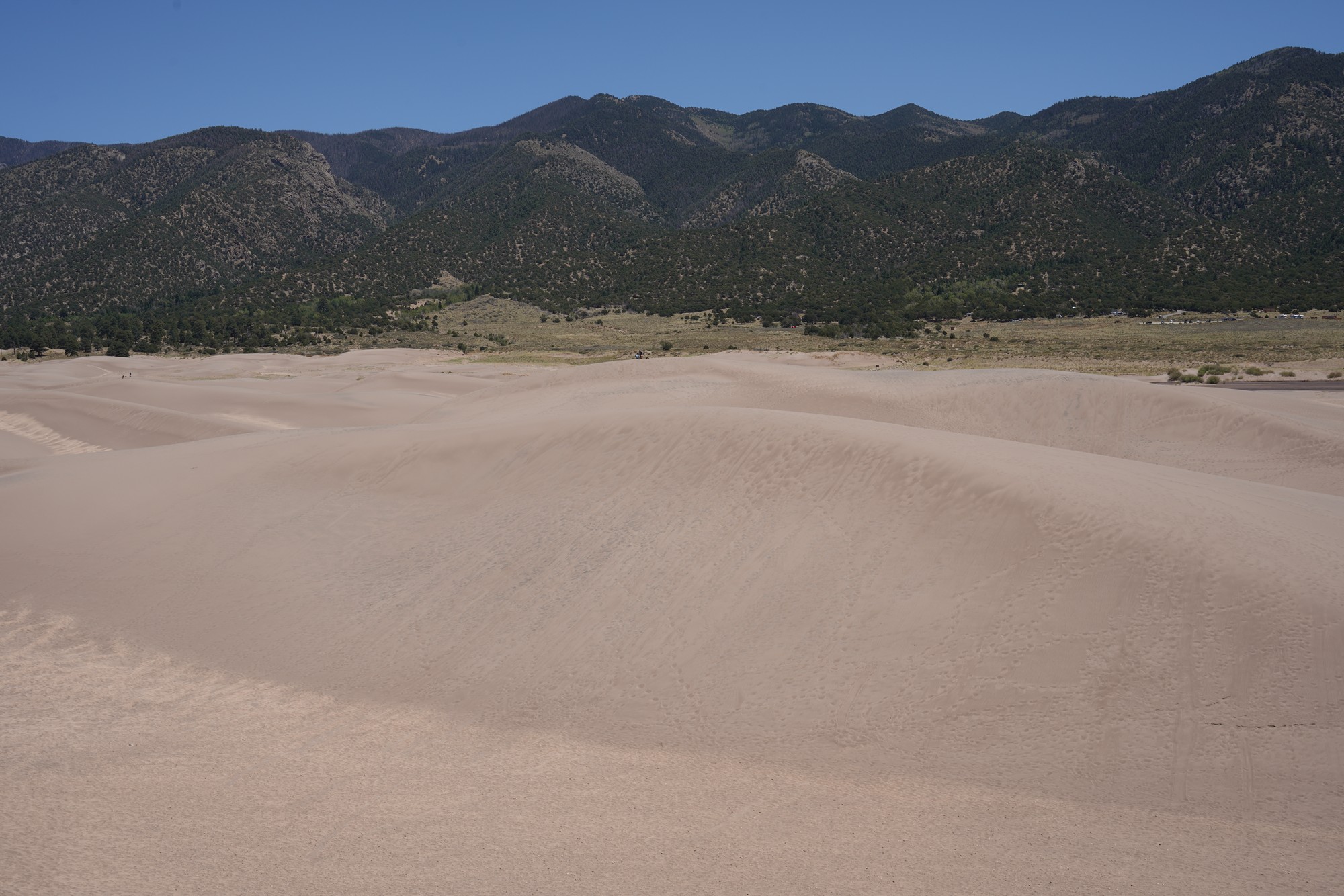 Great Sand Dunes NP (25)