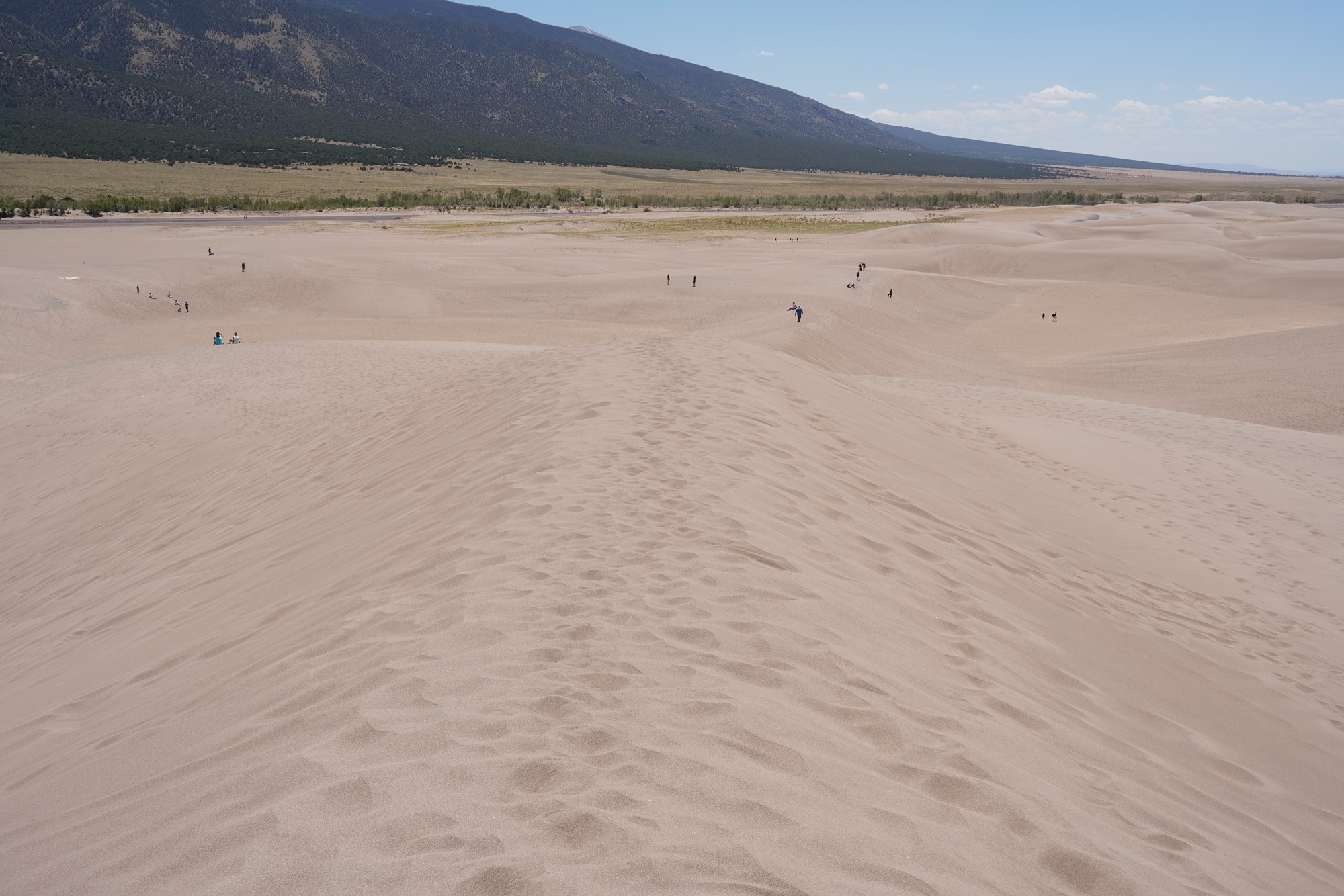 Great Sand Dunes NP (27)