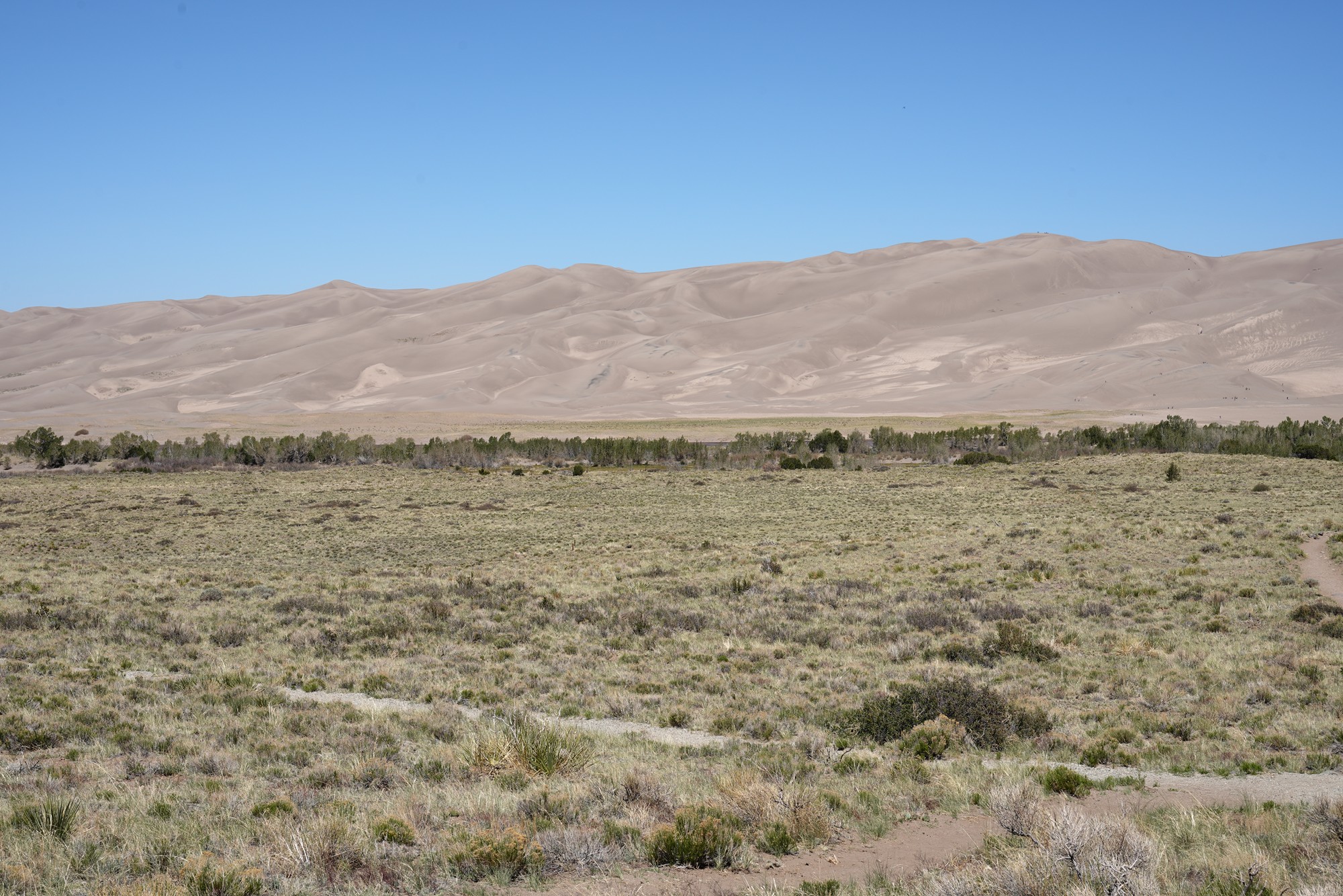 Great Sand Dunes NP (3)