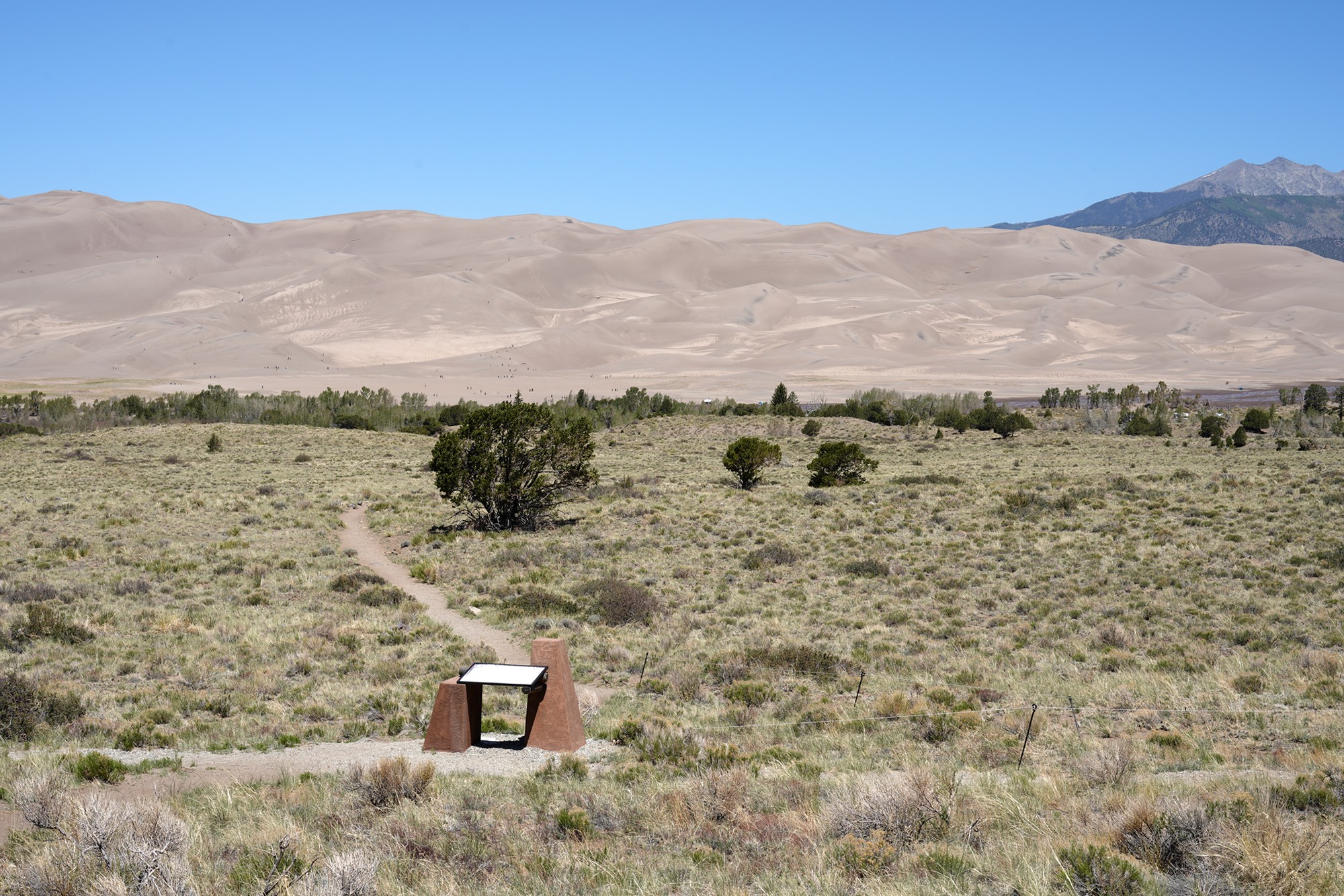 Great Sand Dunes NP (4)