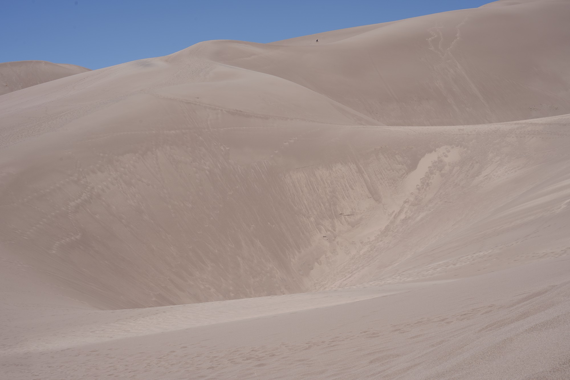 Great Sand Dunes NP (43)