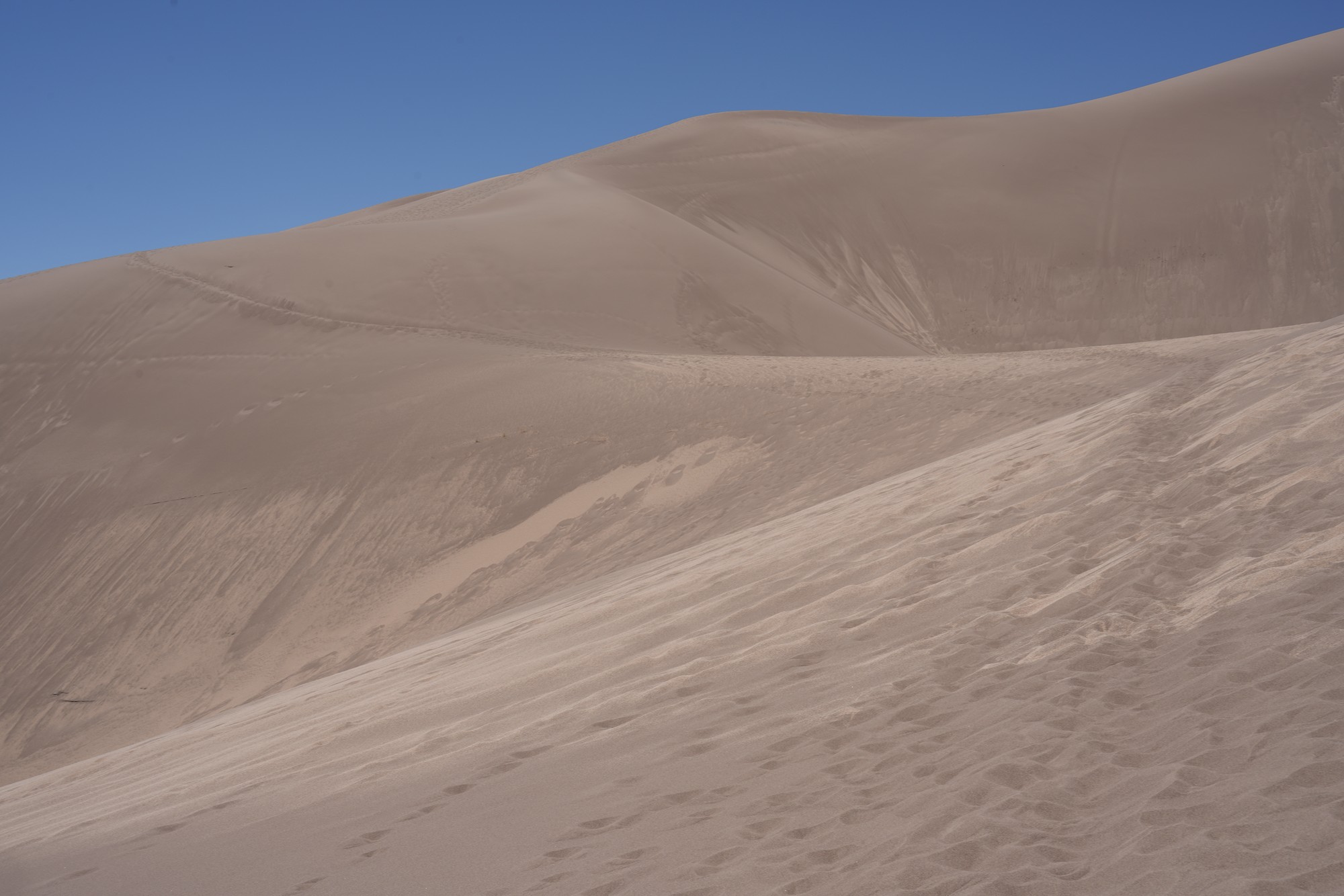 Great Sand Dunes NP (47)