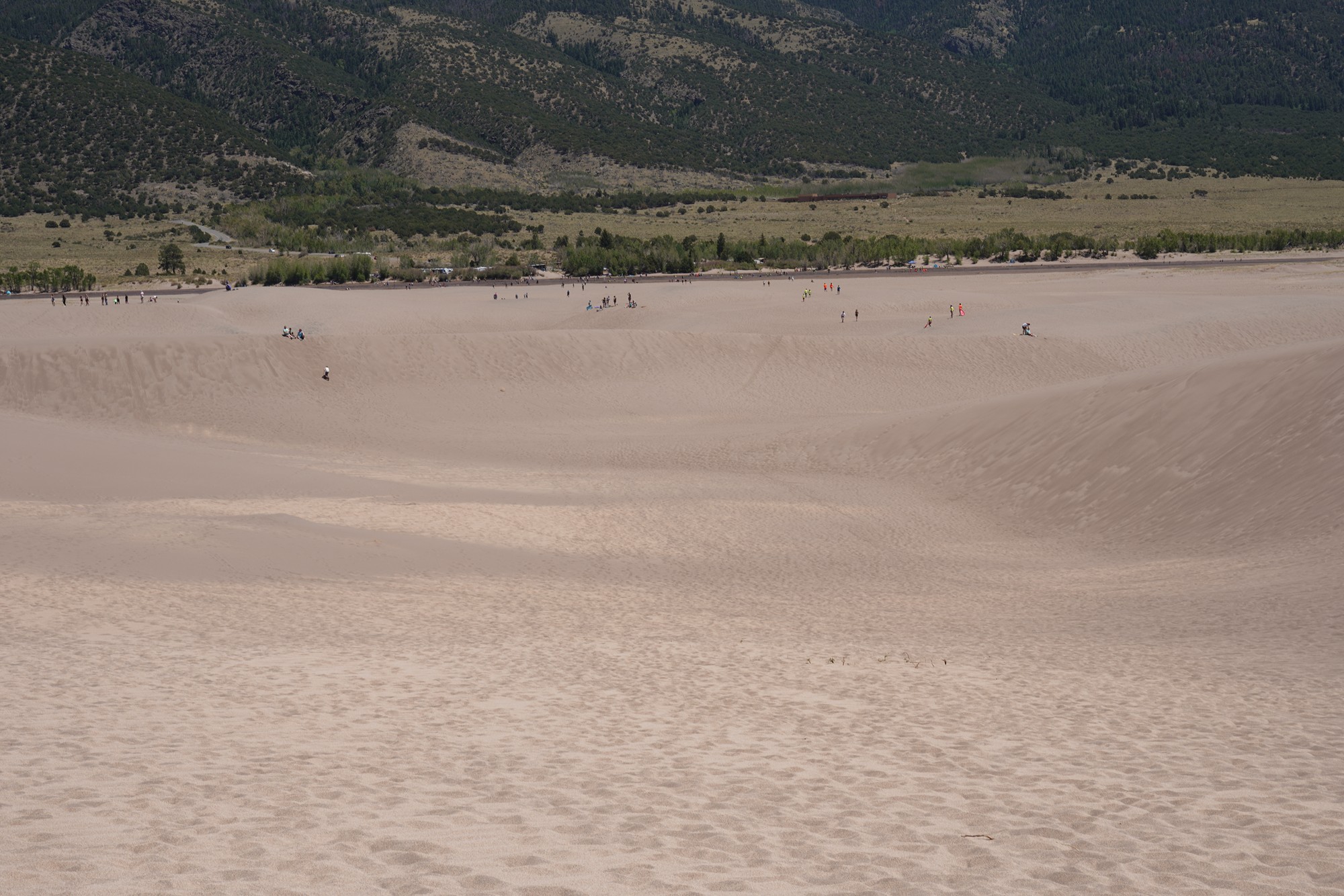 Great Sand Dunes NP (55)