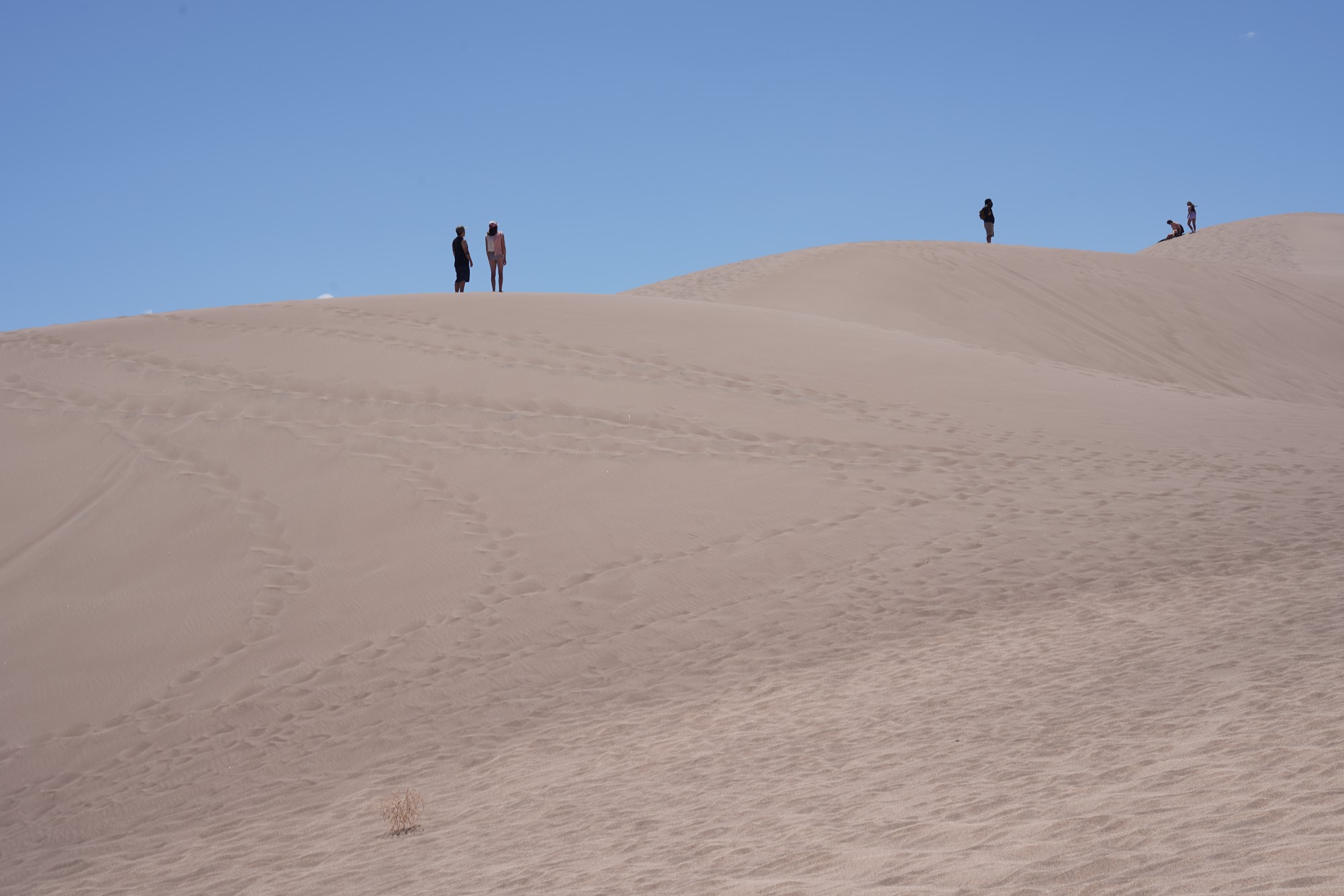Great Sand Dunes NP (56)