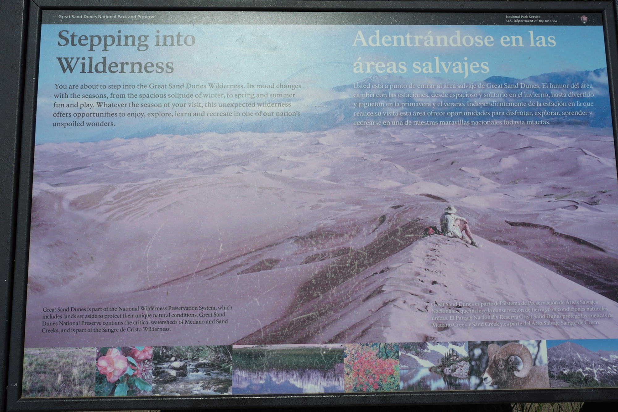 Great Sand Dunes NP (6)