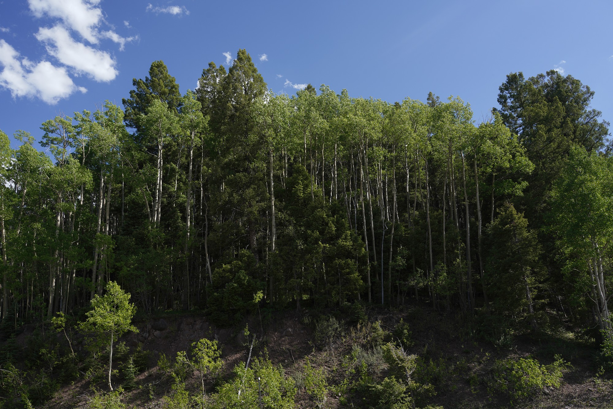 Great Sand Dunes NP (65)