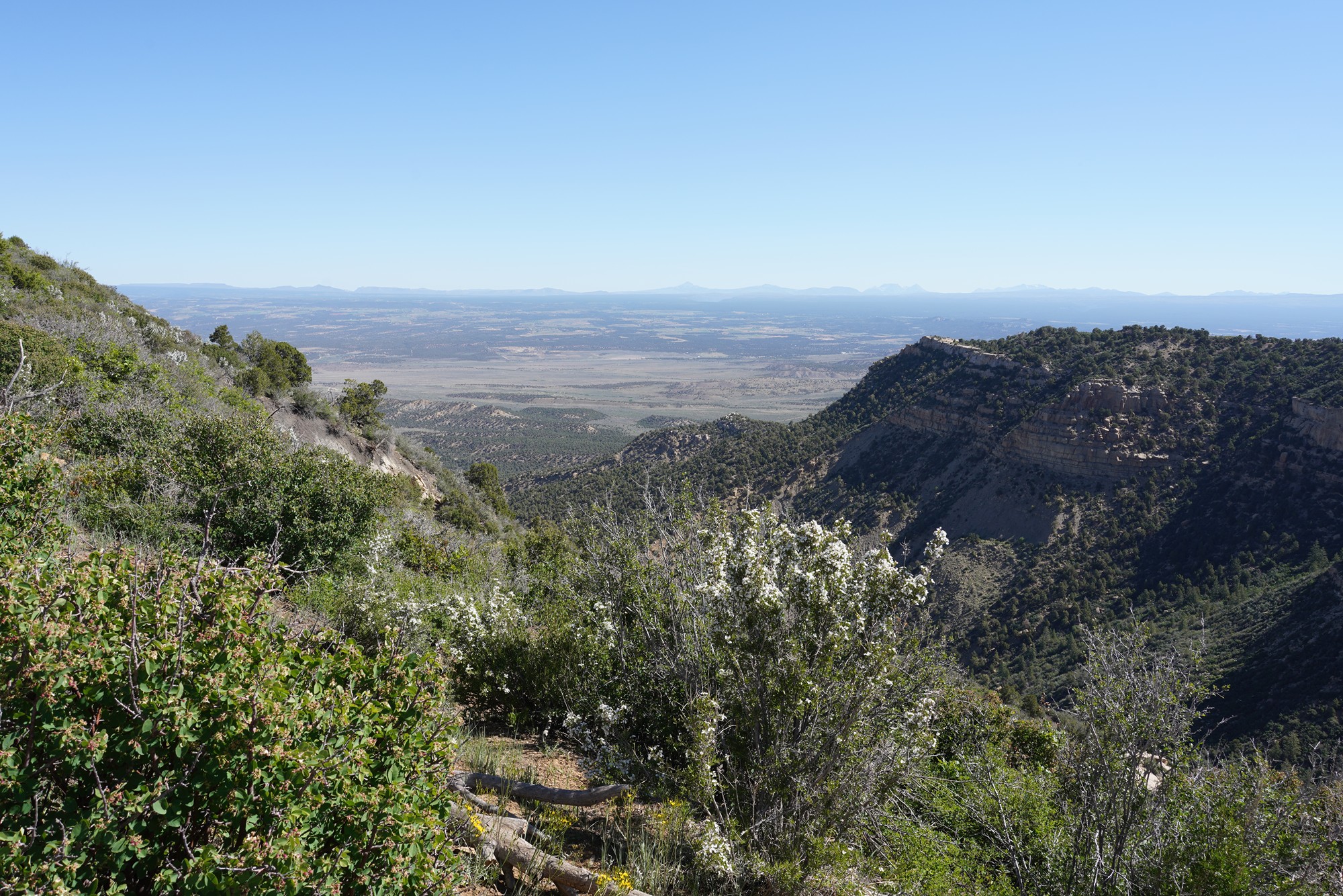 Mesa Verde National Park (1)
