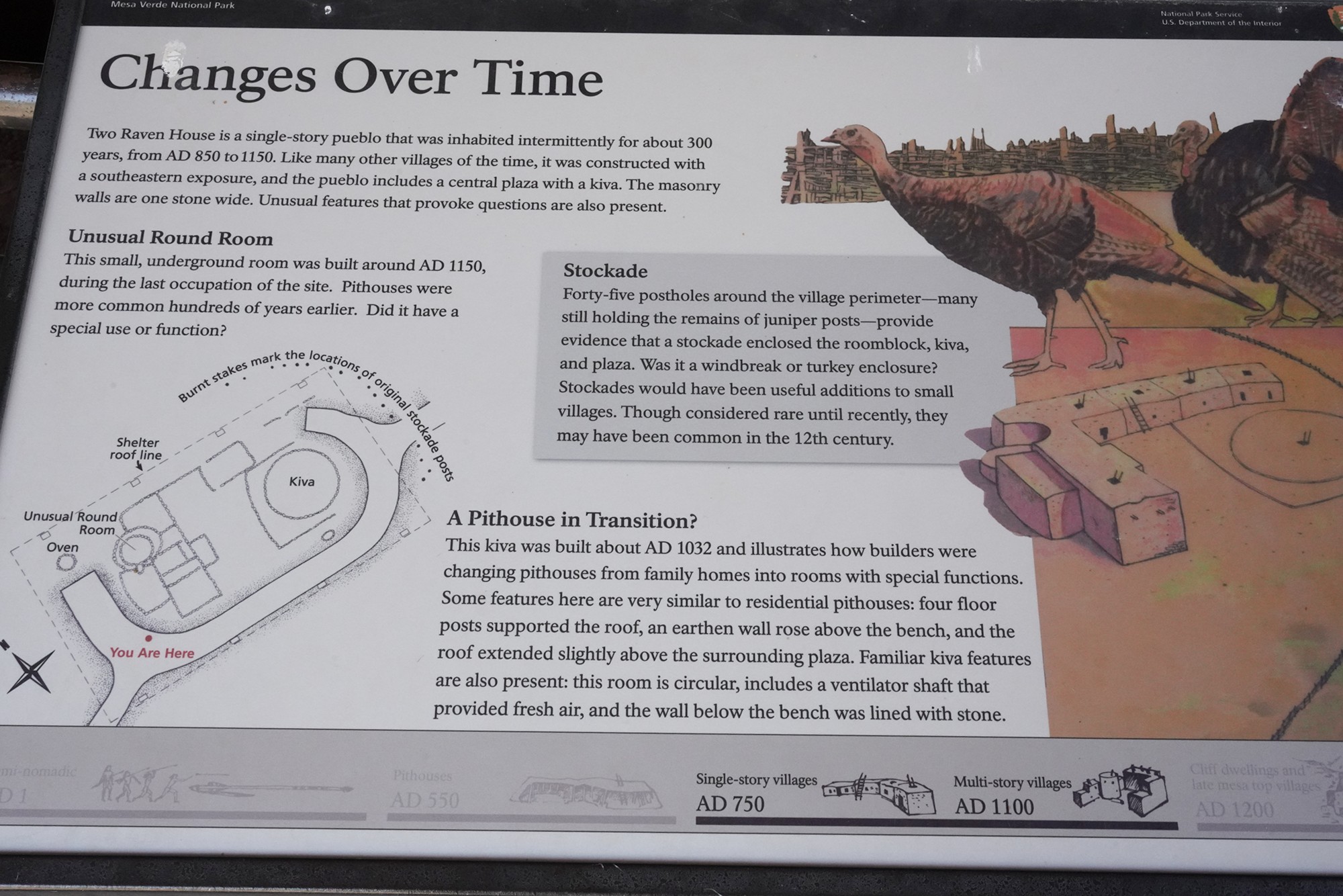 Mesa Verde National Park (105)