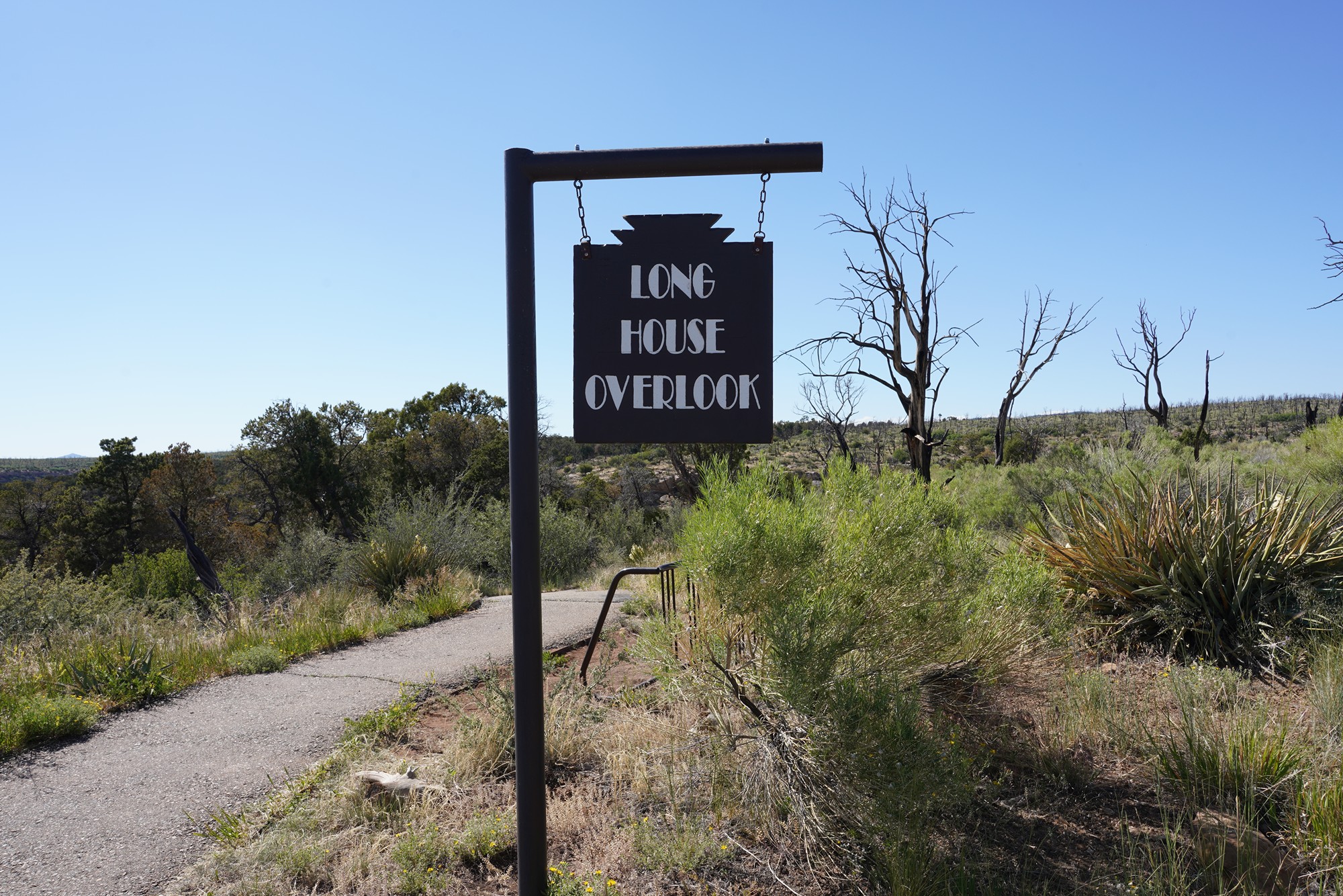 Mesa Verde National Park (108)