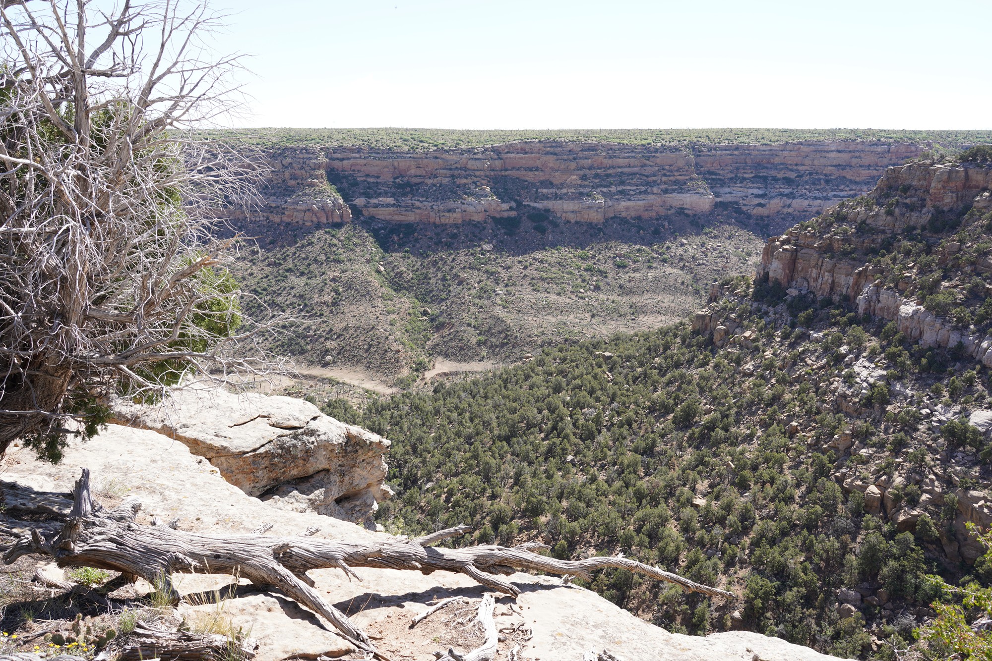 Mesa Verde National Park (111)