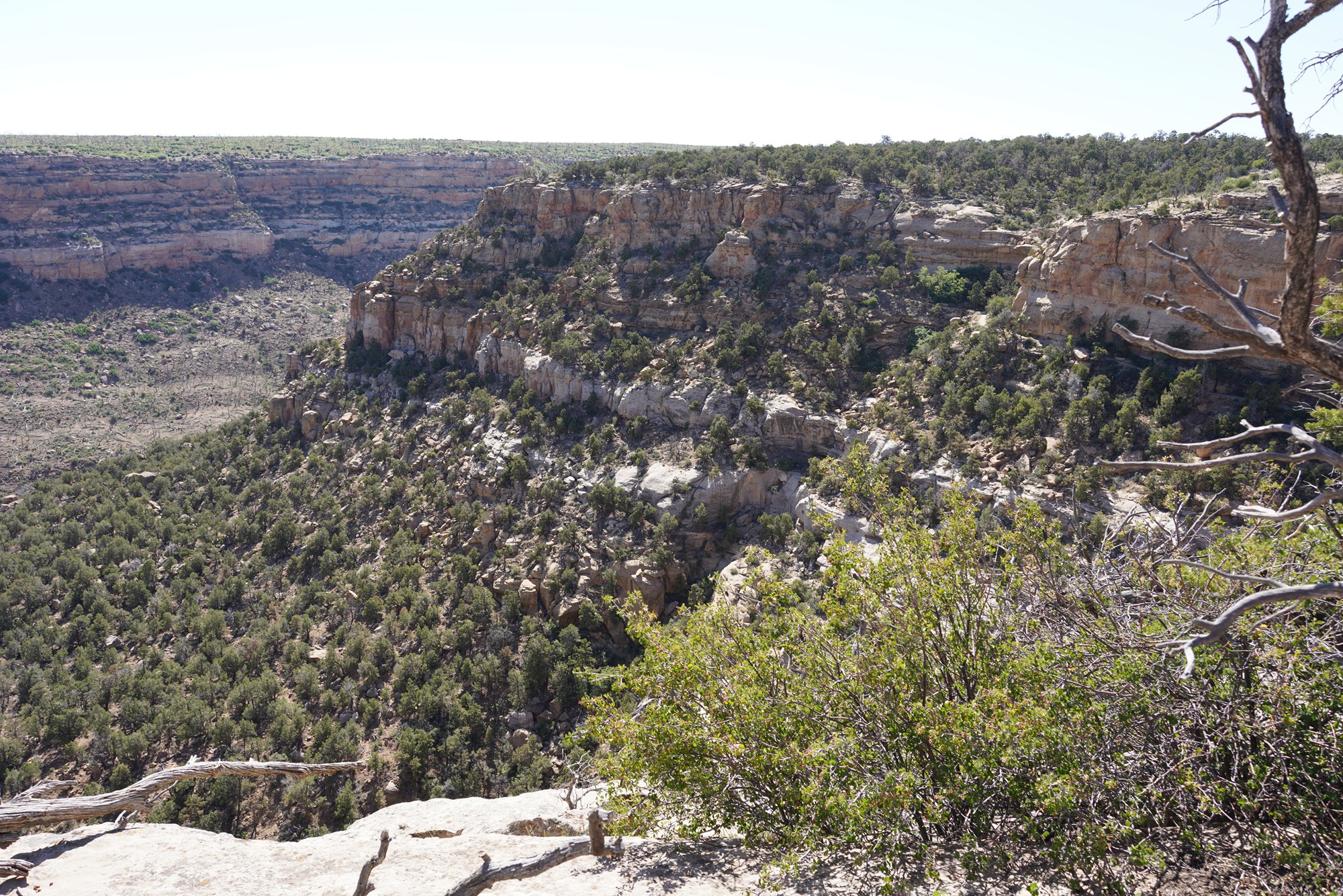 Mesa Verde National Park (112)