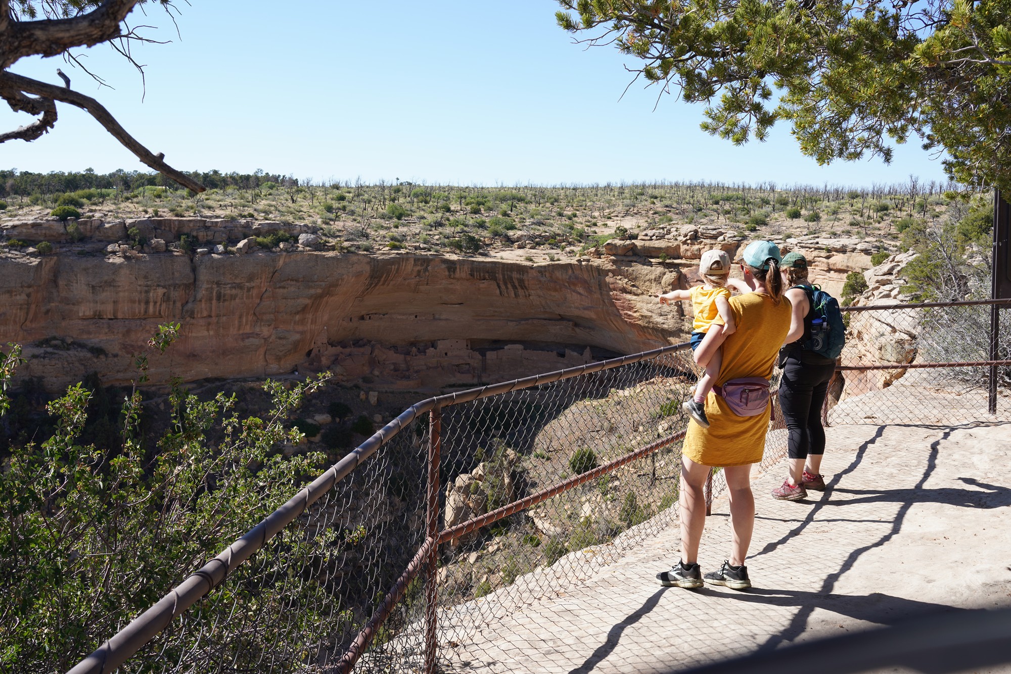 Mesa Verde National Park (116)