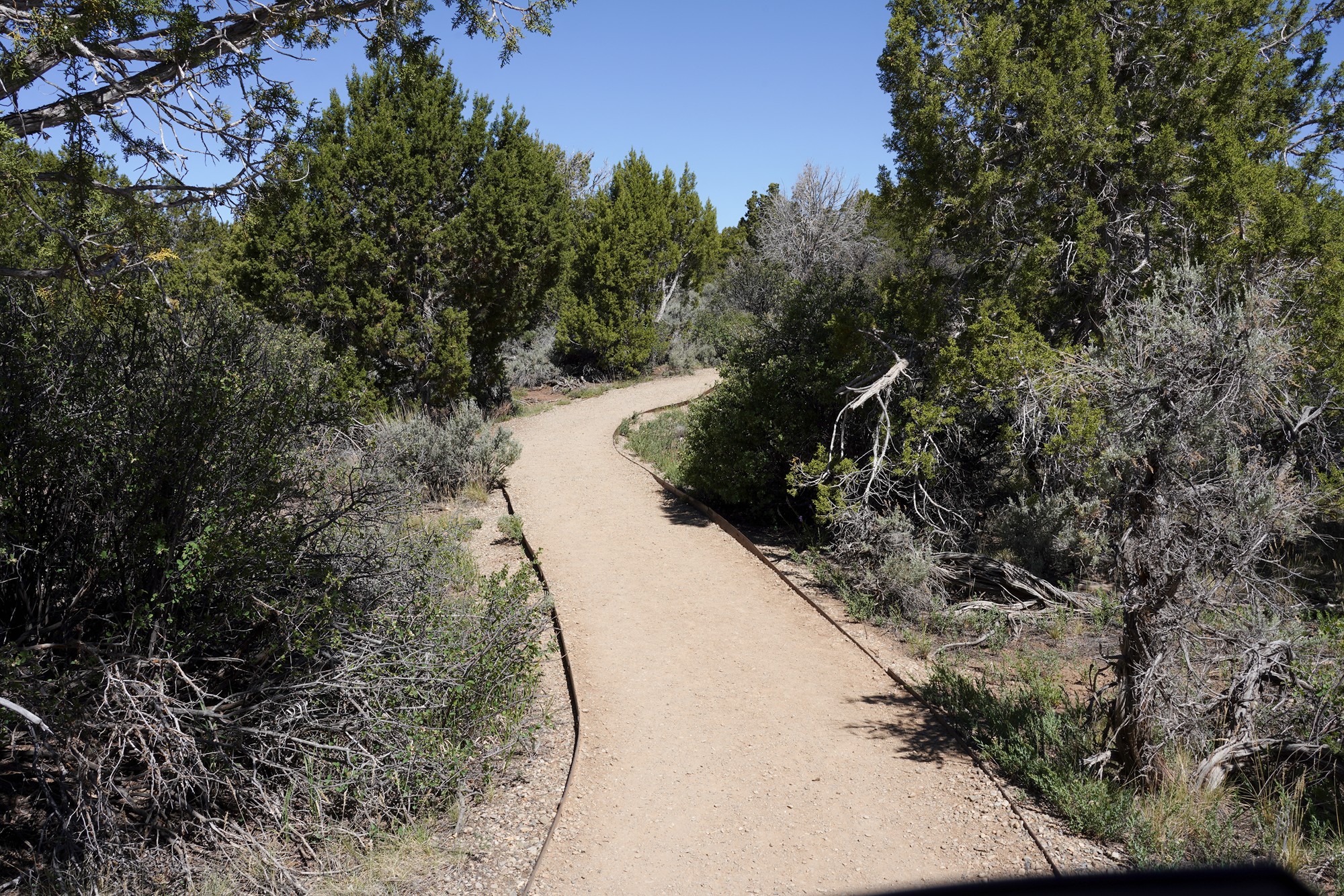 Mesa Verde National Park (14)