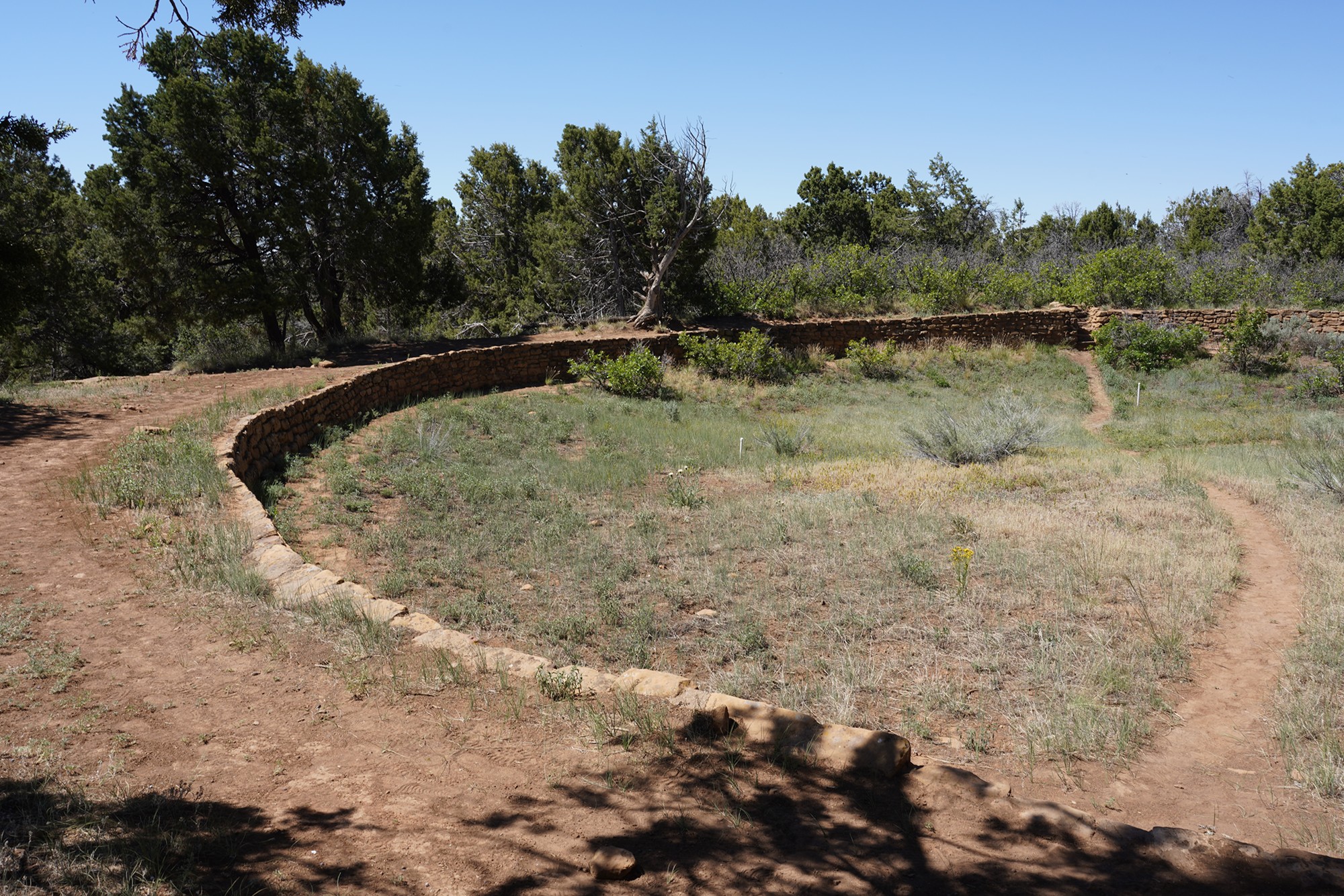 Mesa Verde National Park (19)