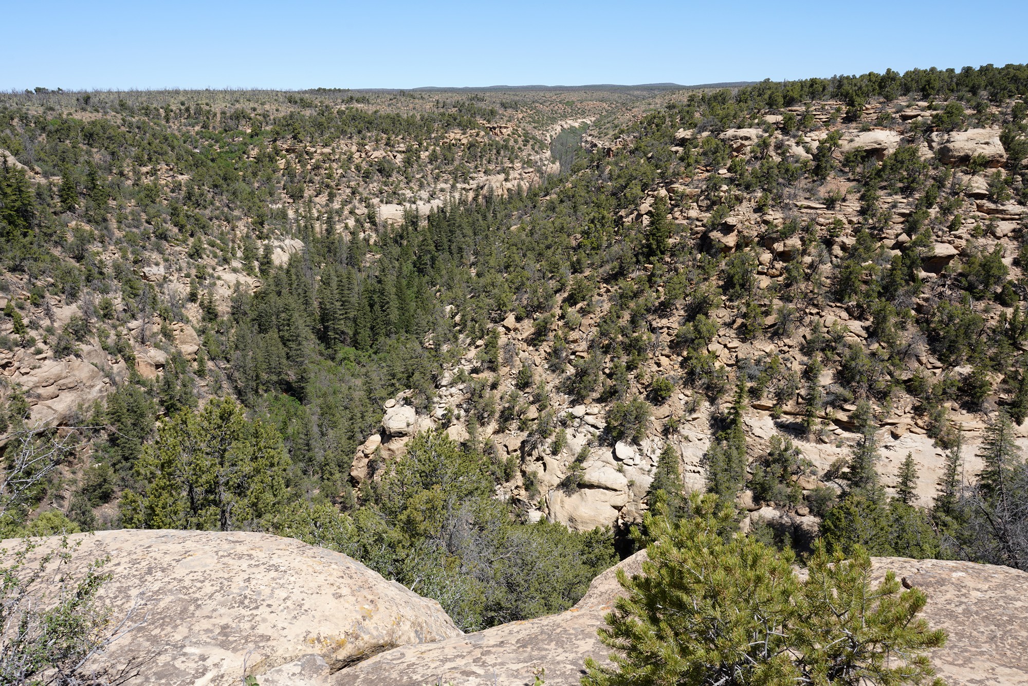 Mesa Verde National Park (21)
