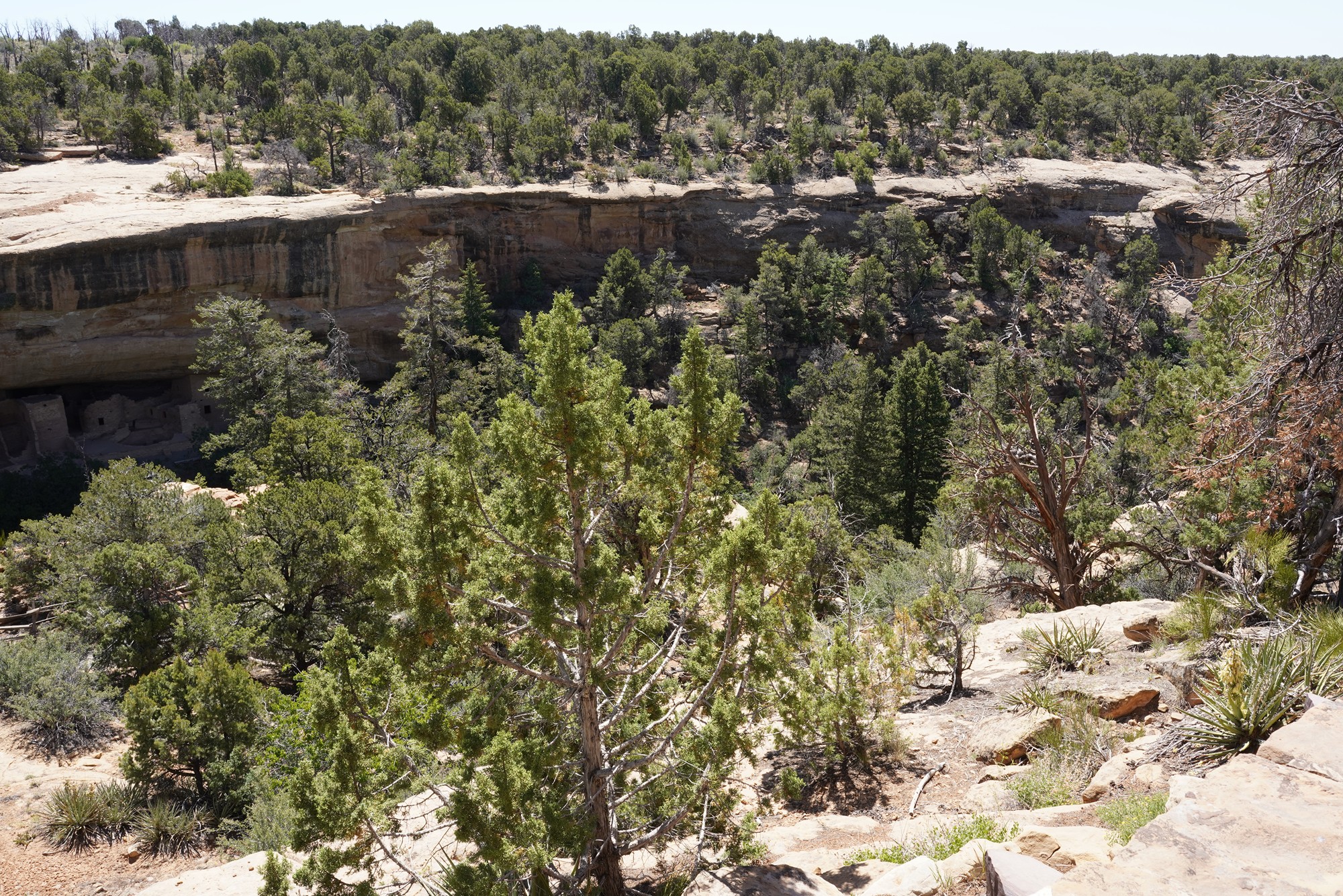 Mesa Verde National Park (26)