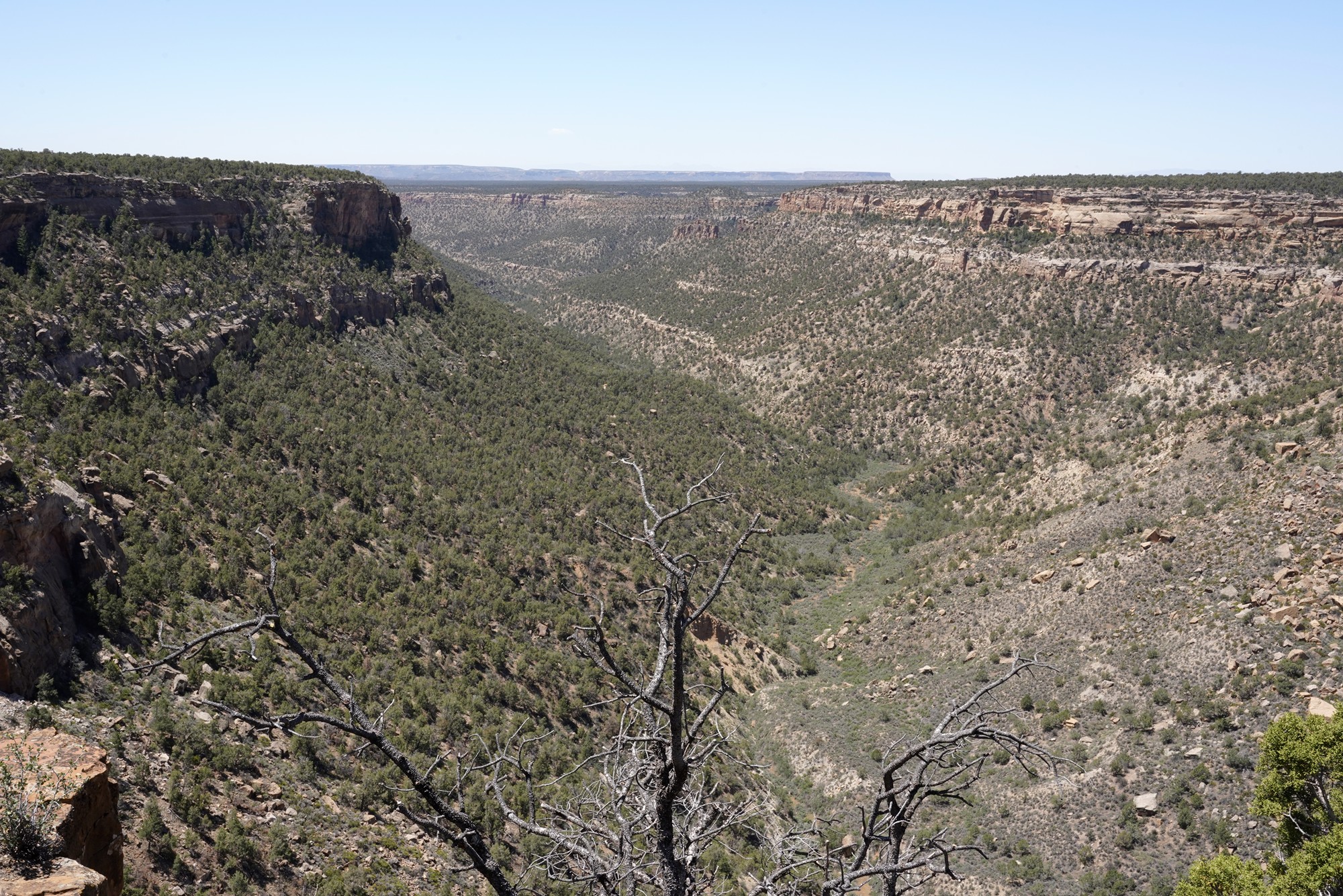 Mesa Verde National Park (29)