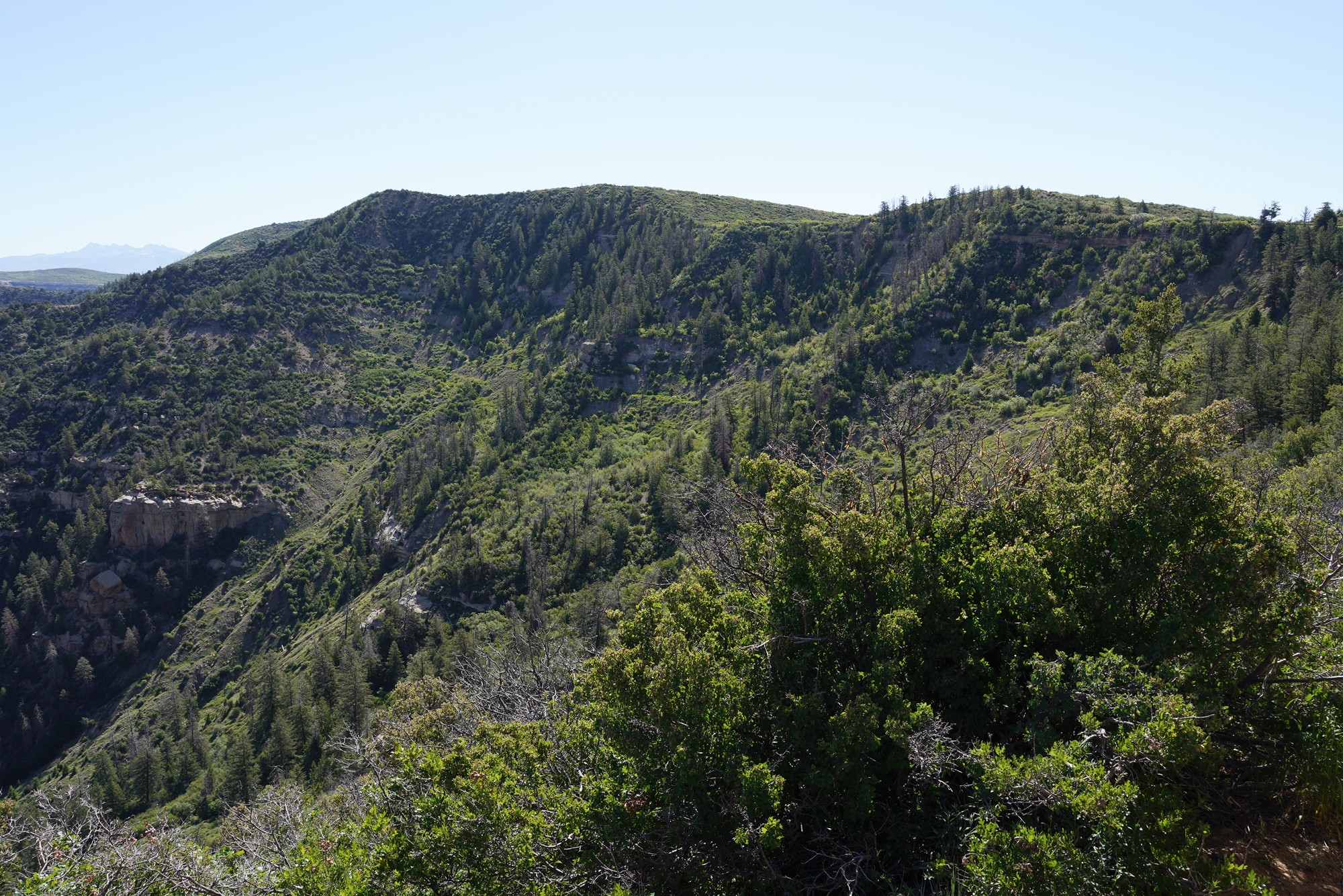 Mesa Verde National Park (3)