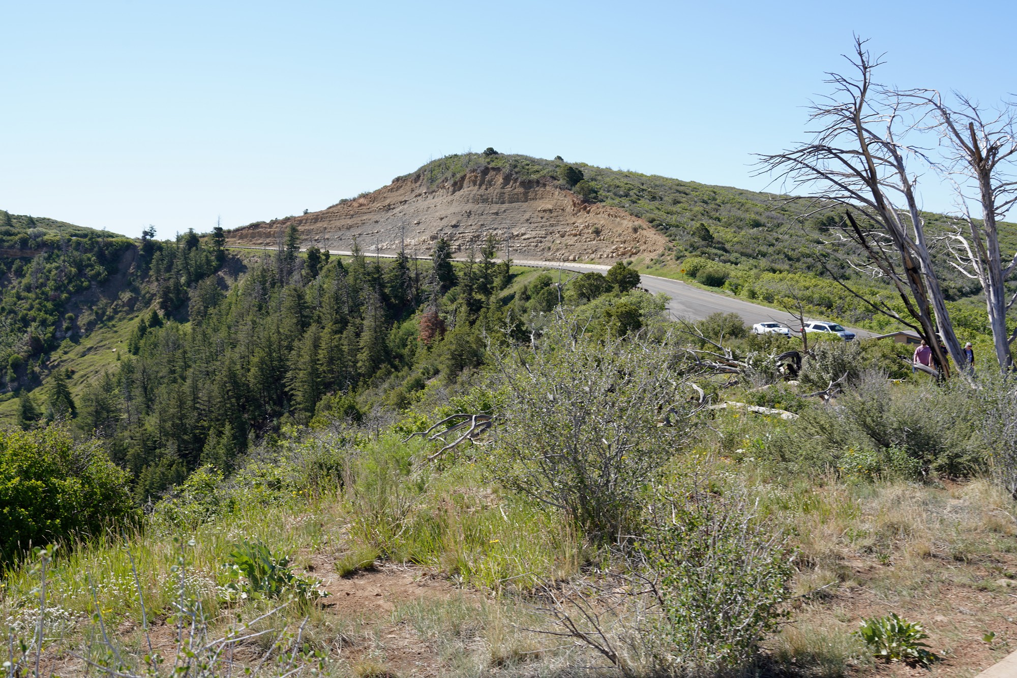 Mesa Verde National Park (5)