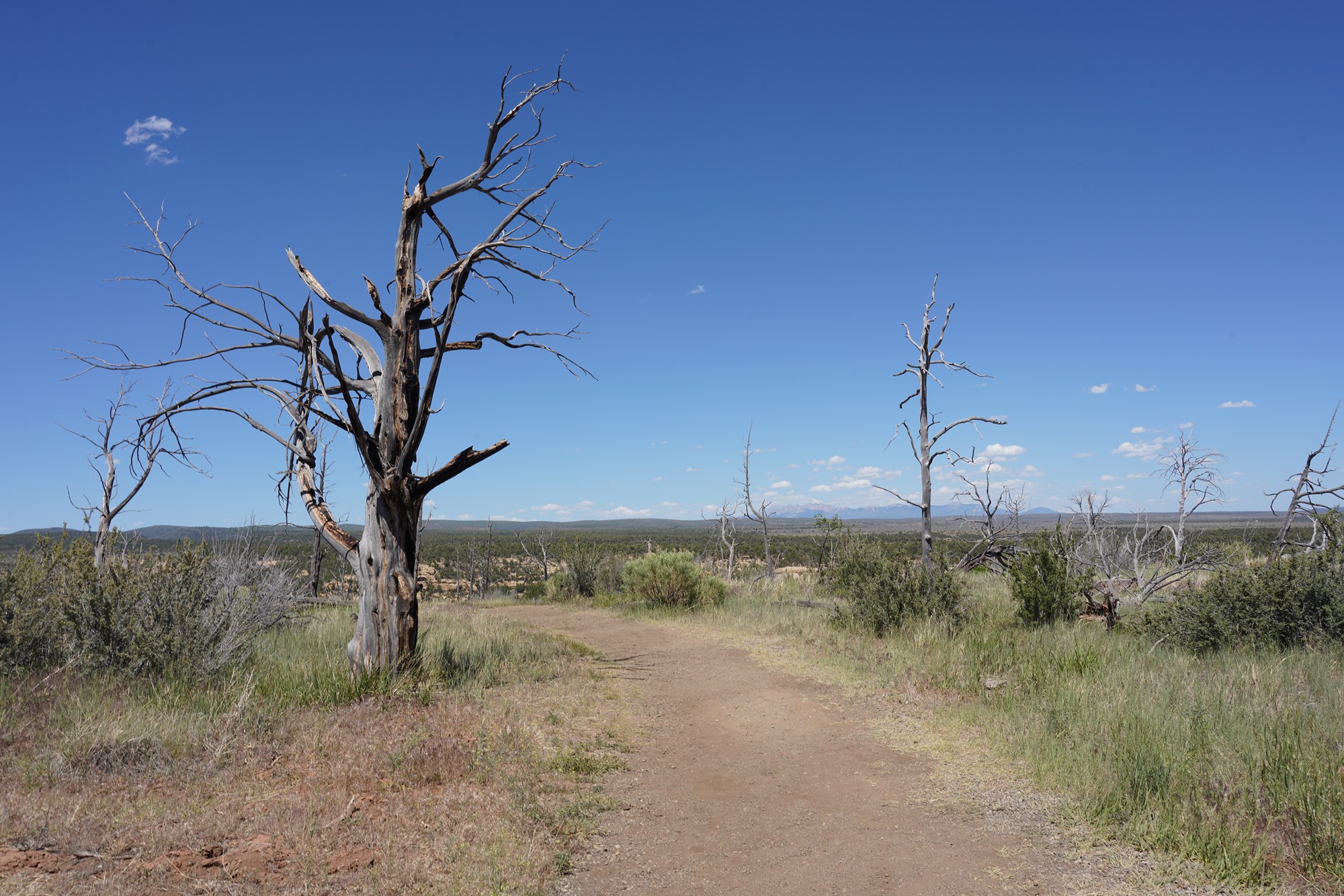 Mesa Verde National Park (61)