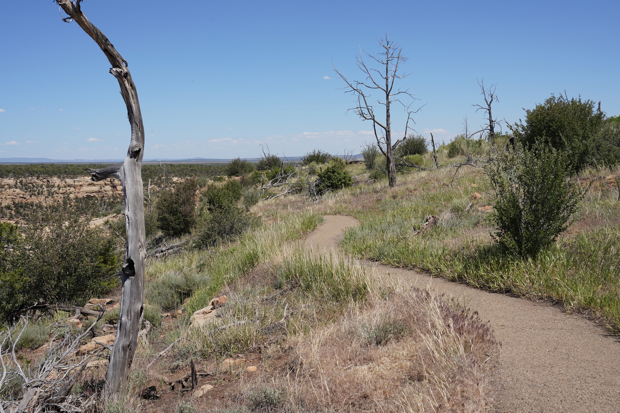 Mesa Verde National Park (62)
