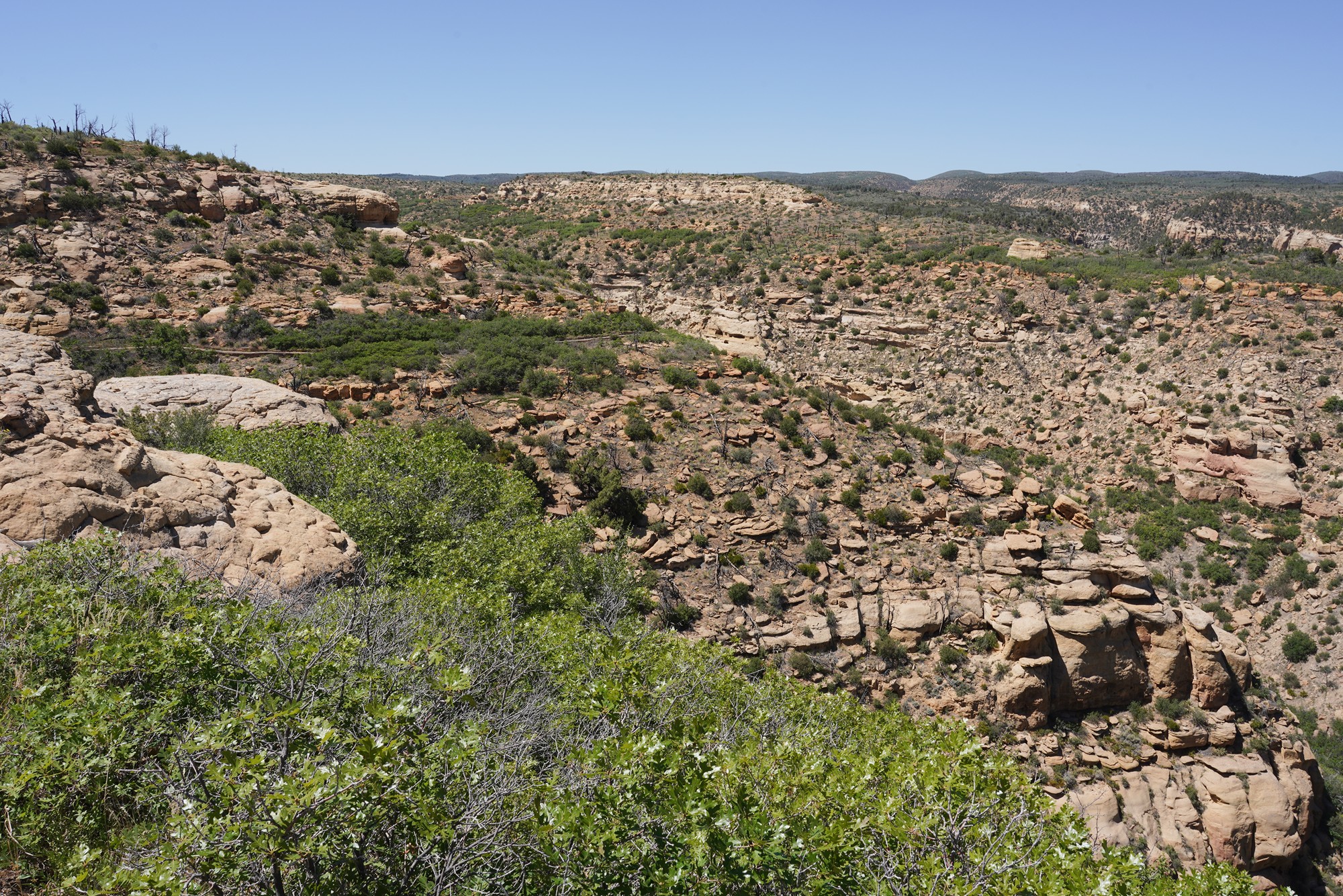 Mesa Verde National Park (63)