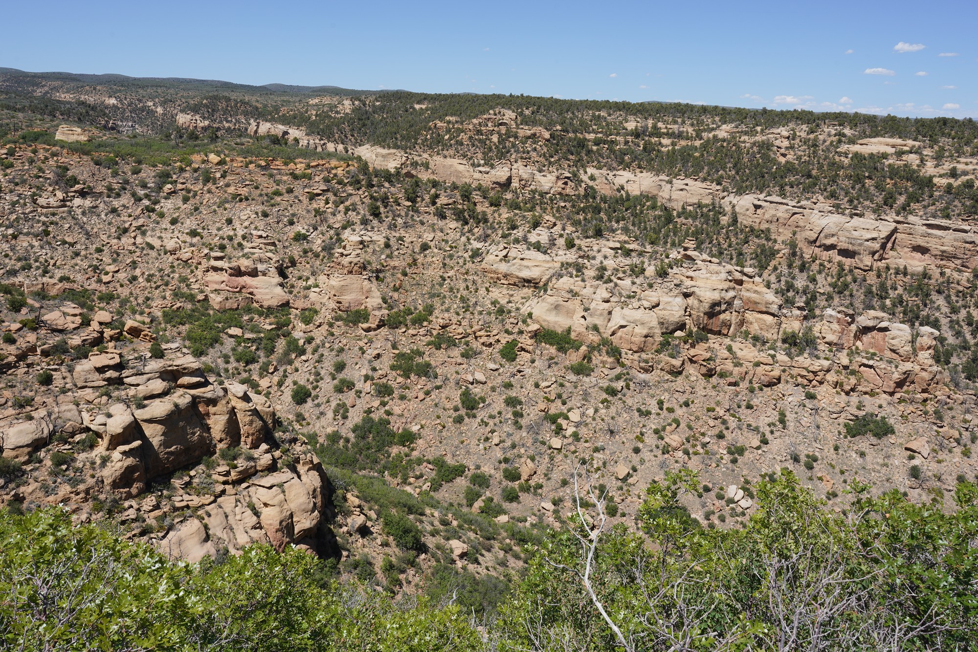 Mesa Verde National Park (64)