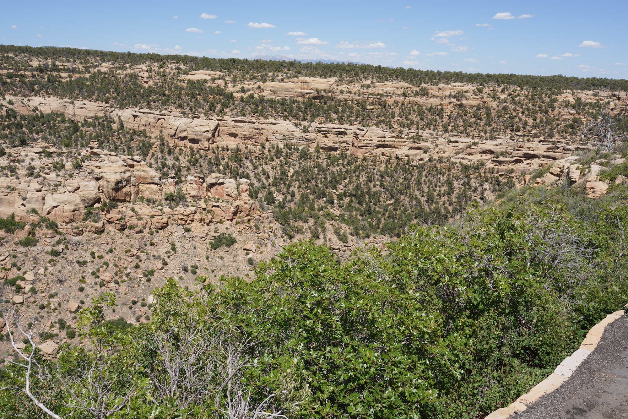 Mesa Verde National Park (65)
