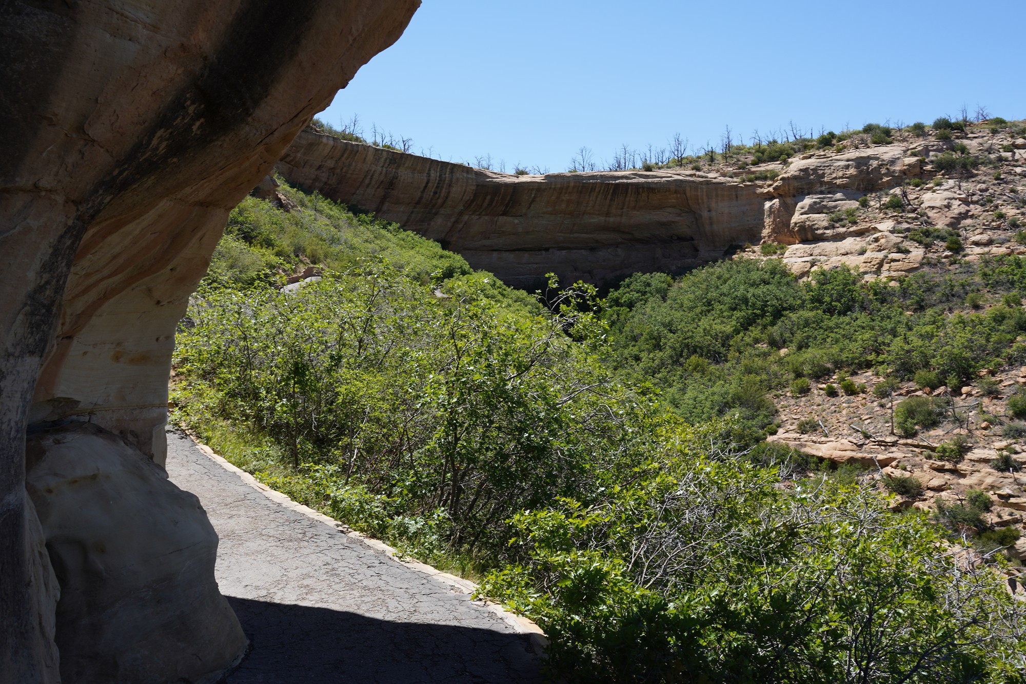 Mesa Verde National Park (67)