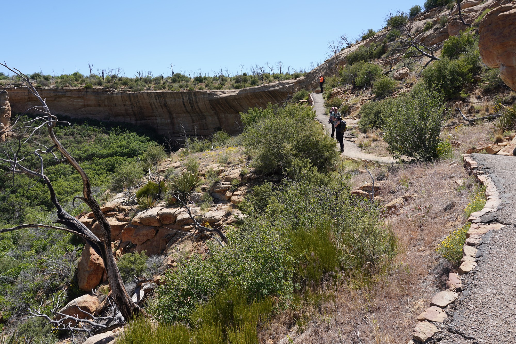Mesa Verde National Park (78)