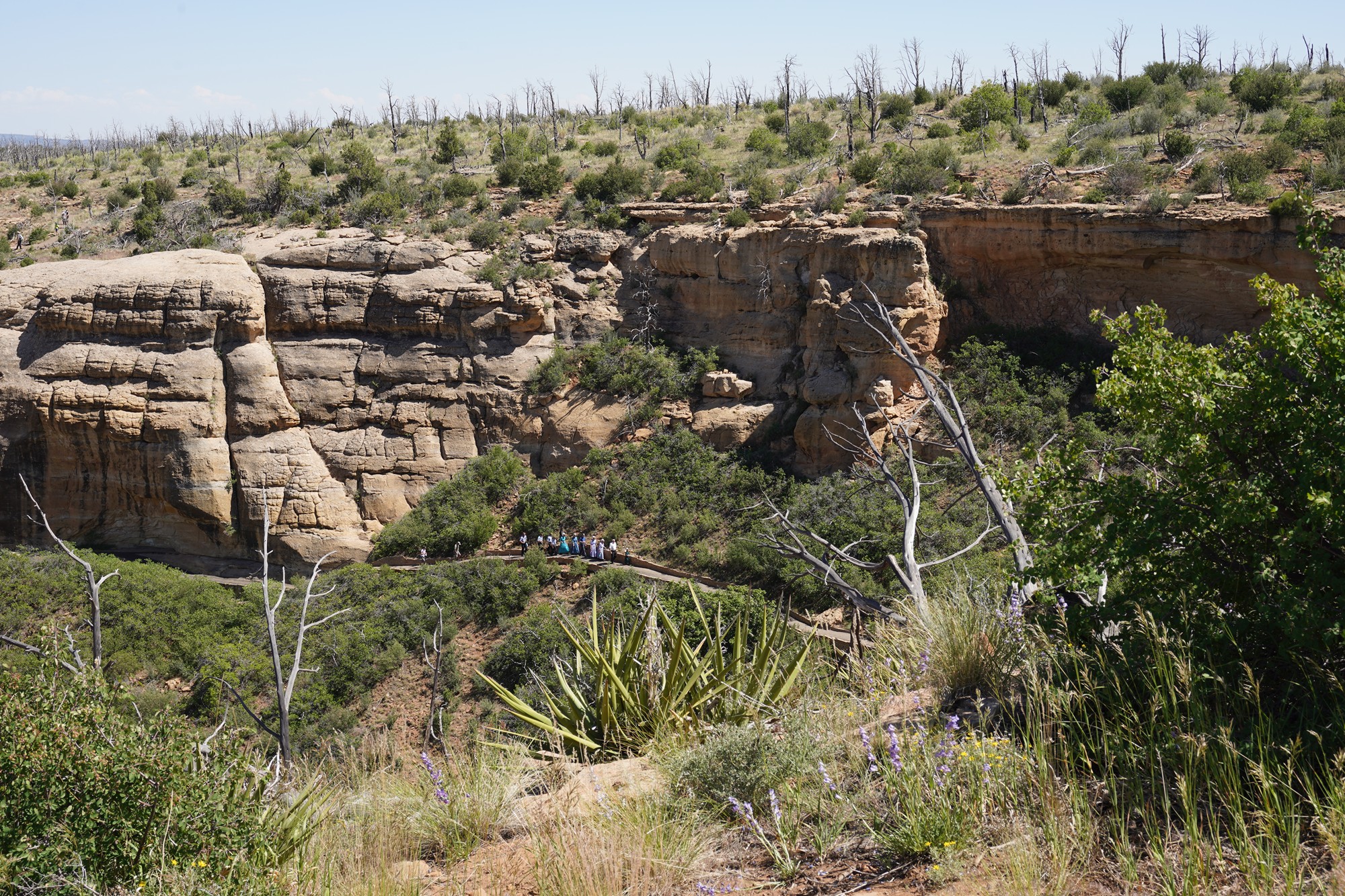 Mesa Verde National Park (79)