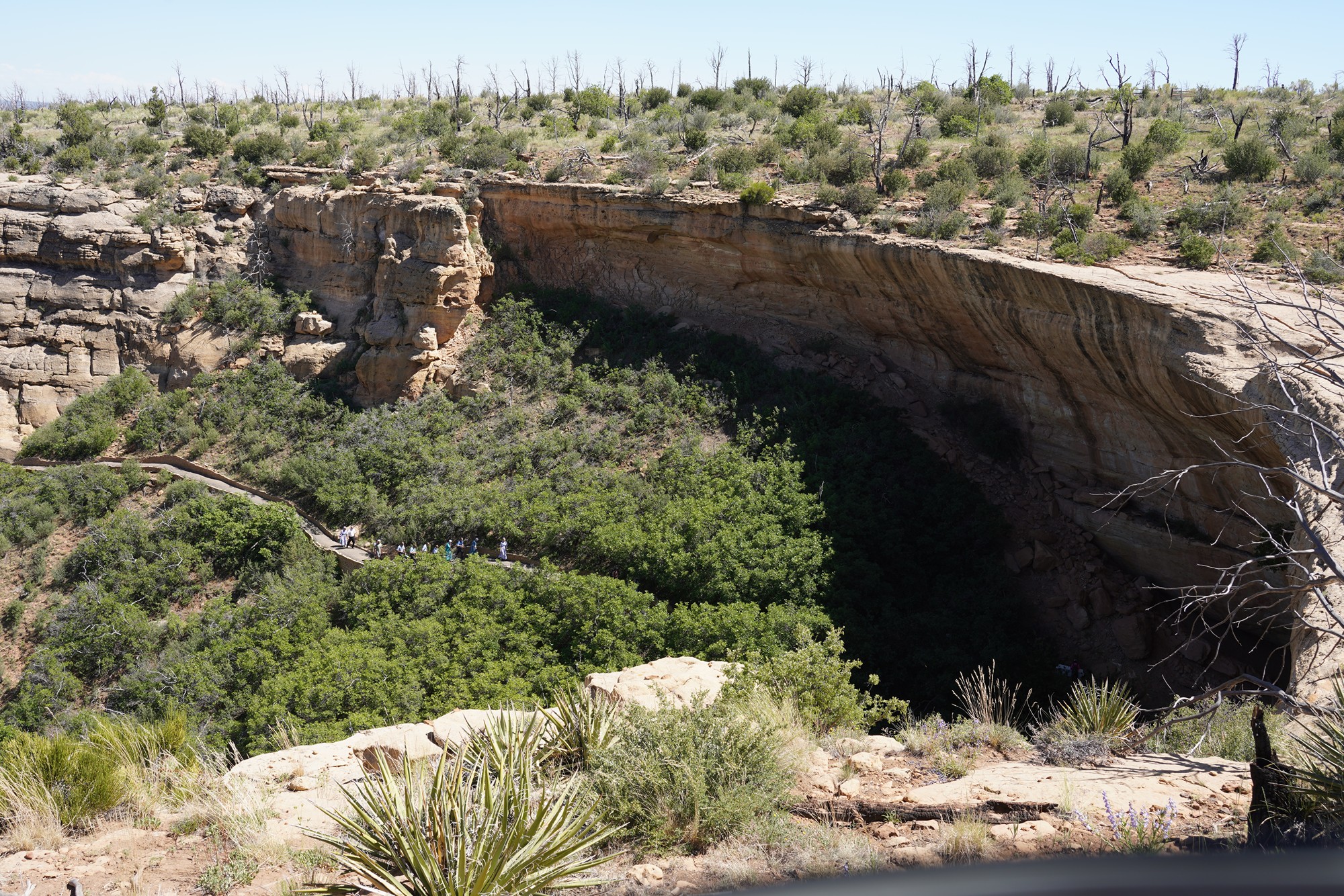 Mesa Verde National Park (80)