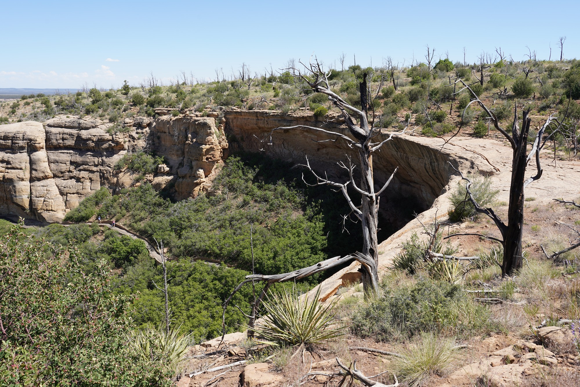 Mesa Verde National Park (81)