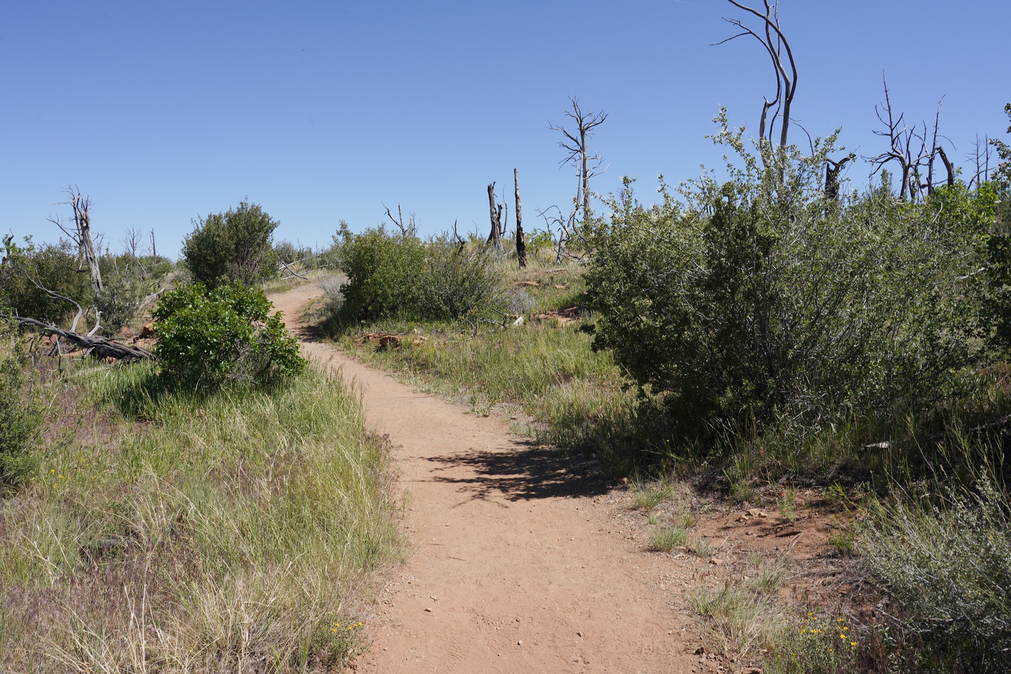 Mesa Verde National Park (82)