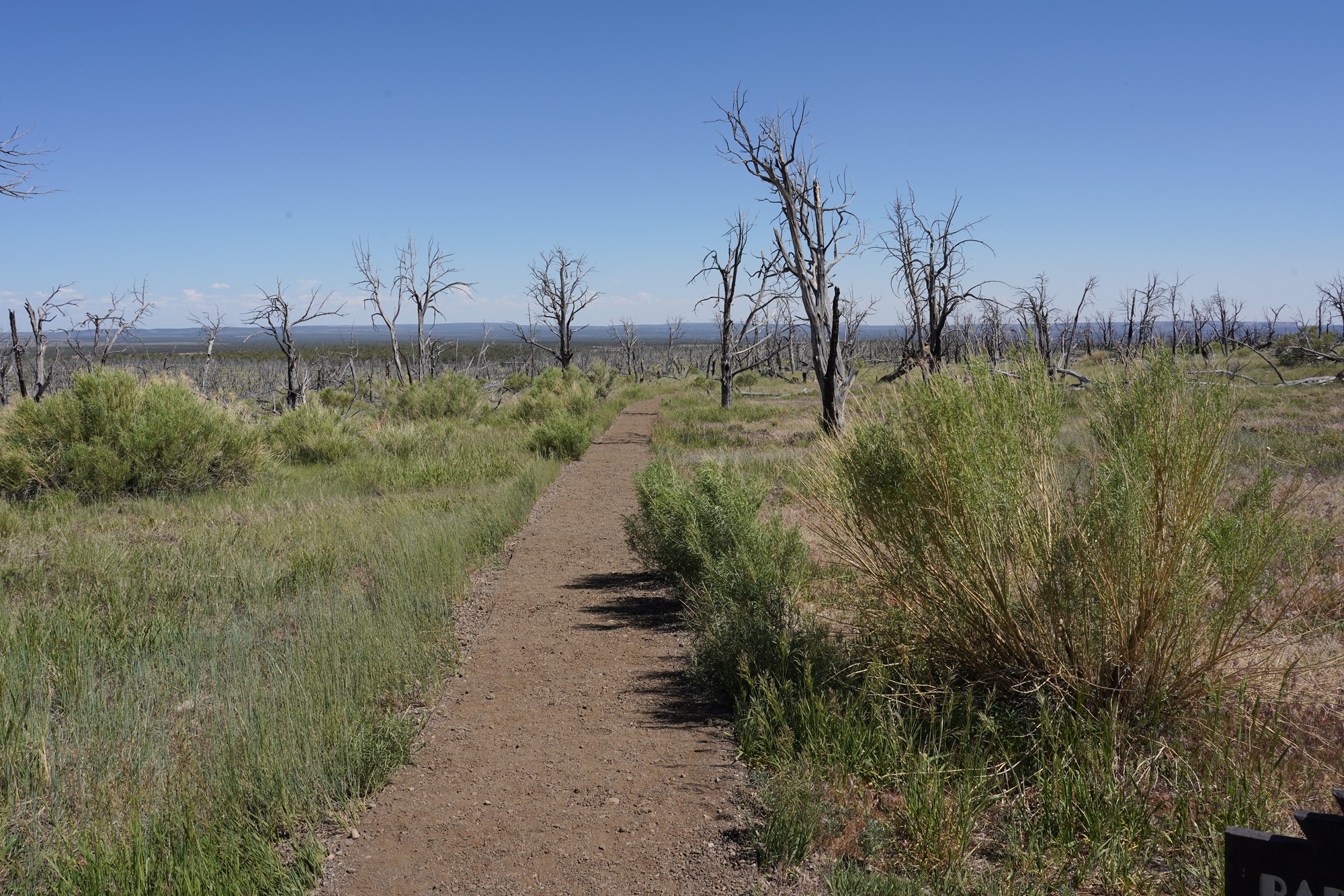 Mesa Verde National Park (84)