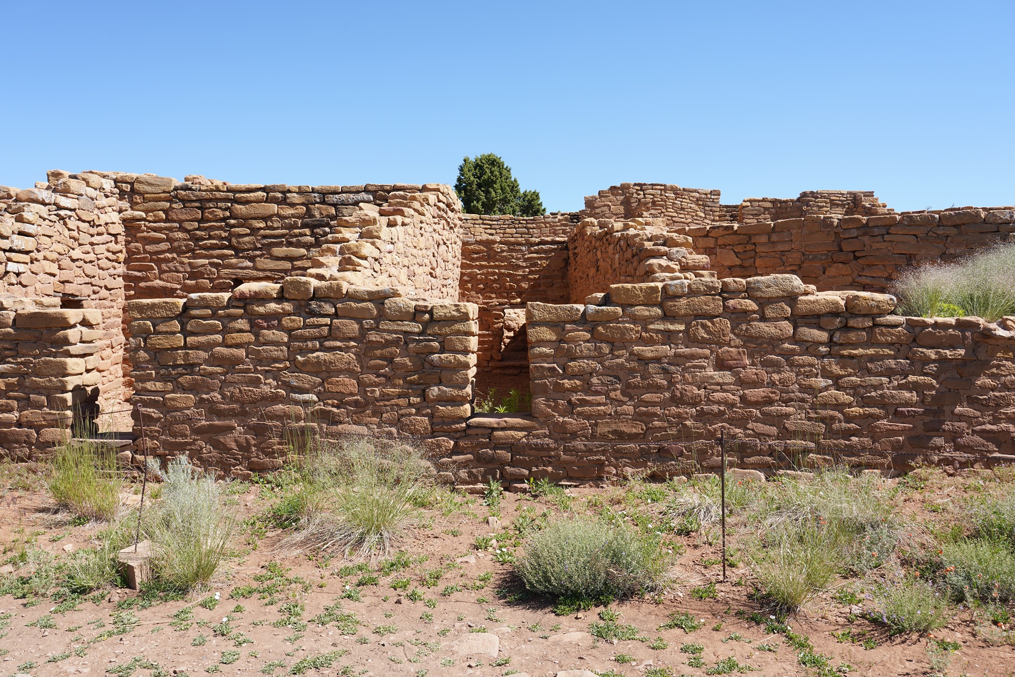 Mesa Verde National Park (9)