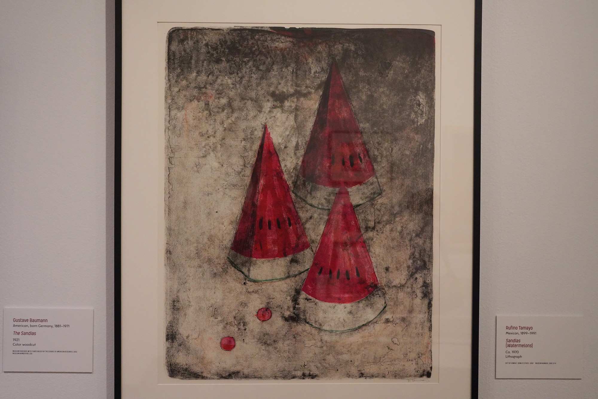 New Mexico Museum of Art (13)