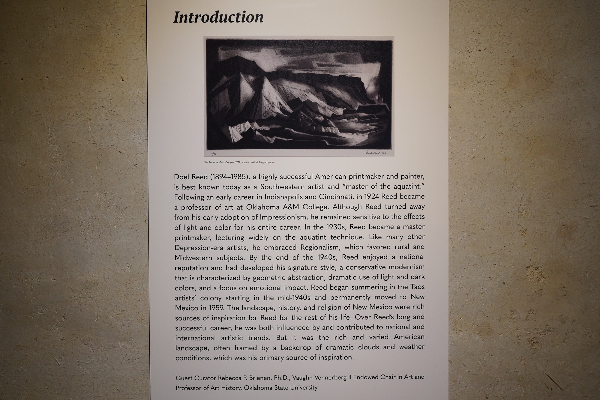 Taos Art Museum at Fetchin House (23)