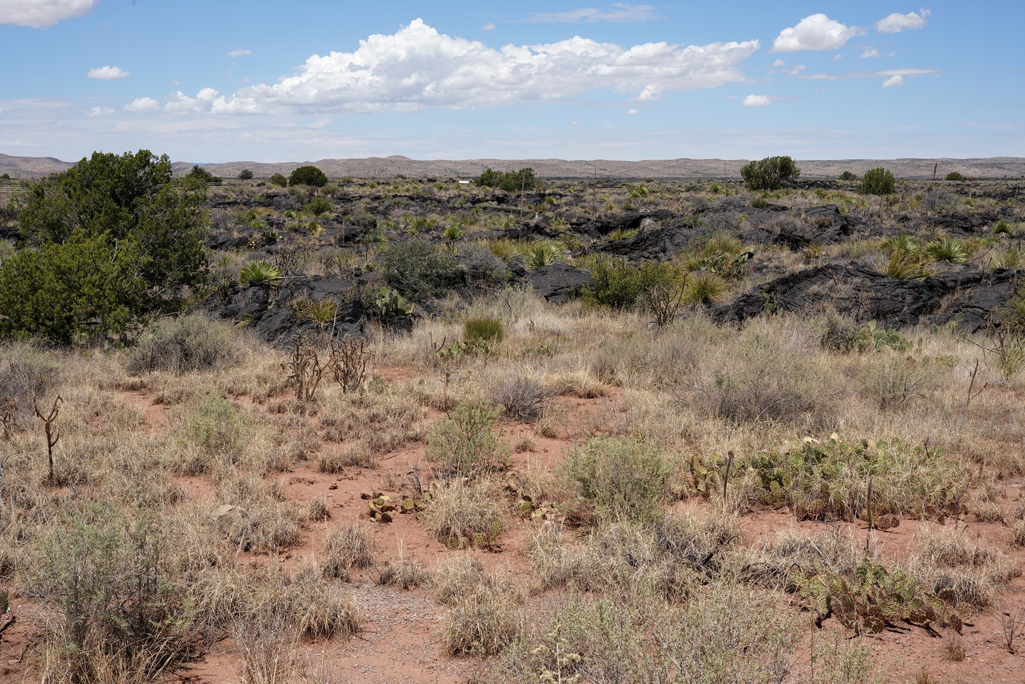 Valley of Fires Recreation (10)