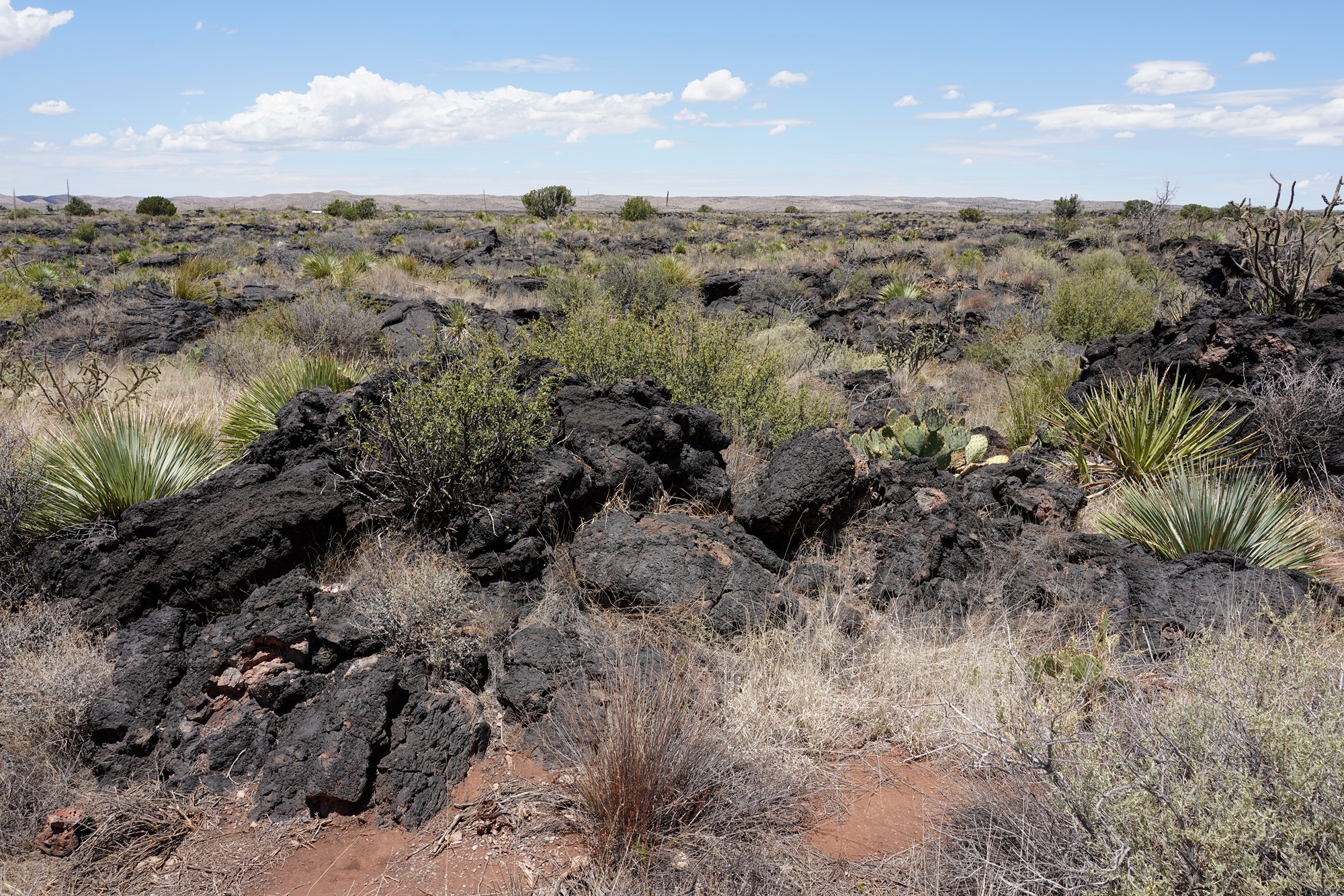 Valley of Fires Recreation (11)