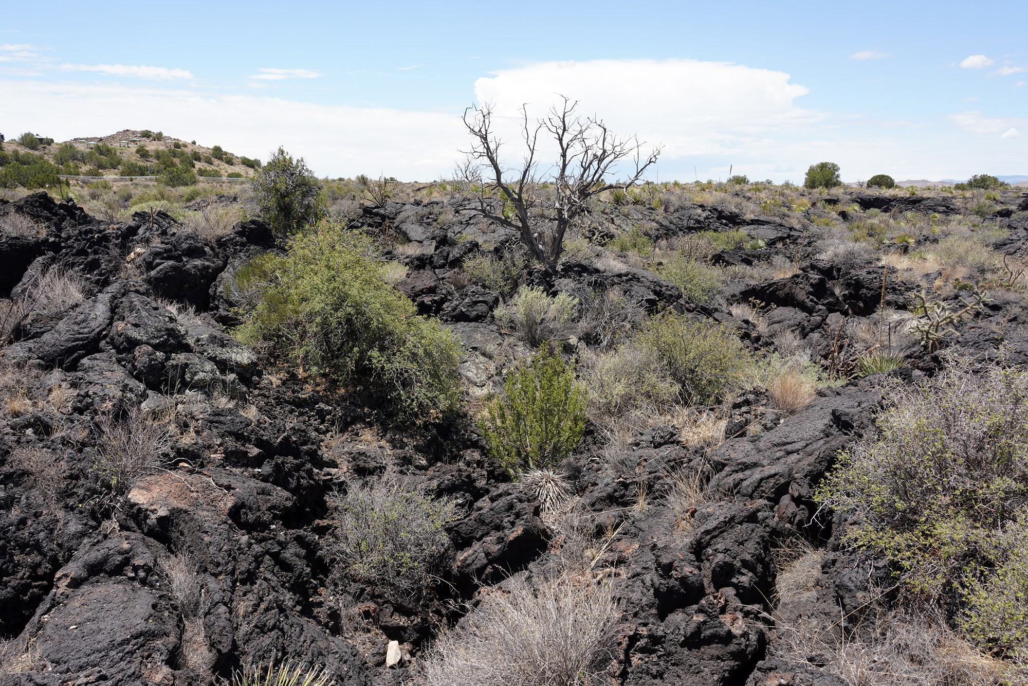 Valley of Fires Recreation (12)
