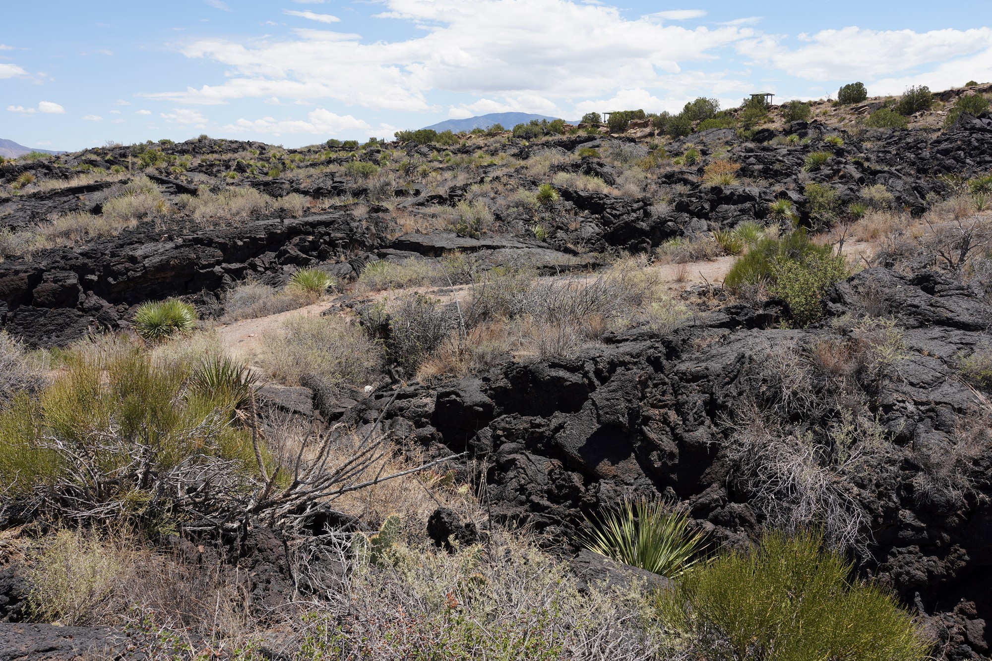 Valley of Fires Recreation (13)