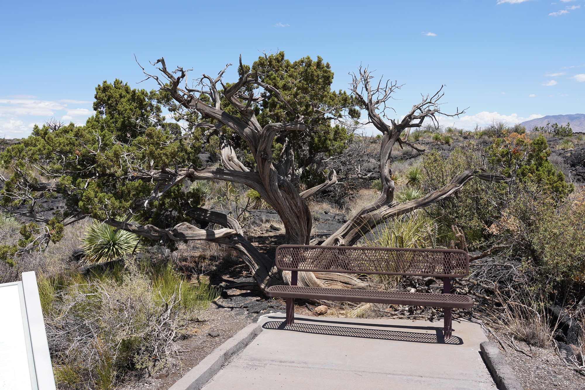 Valley of Fires Recreation (16)