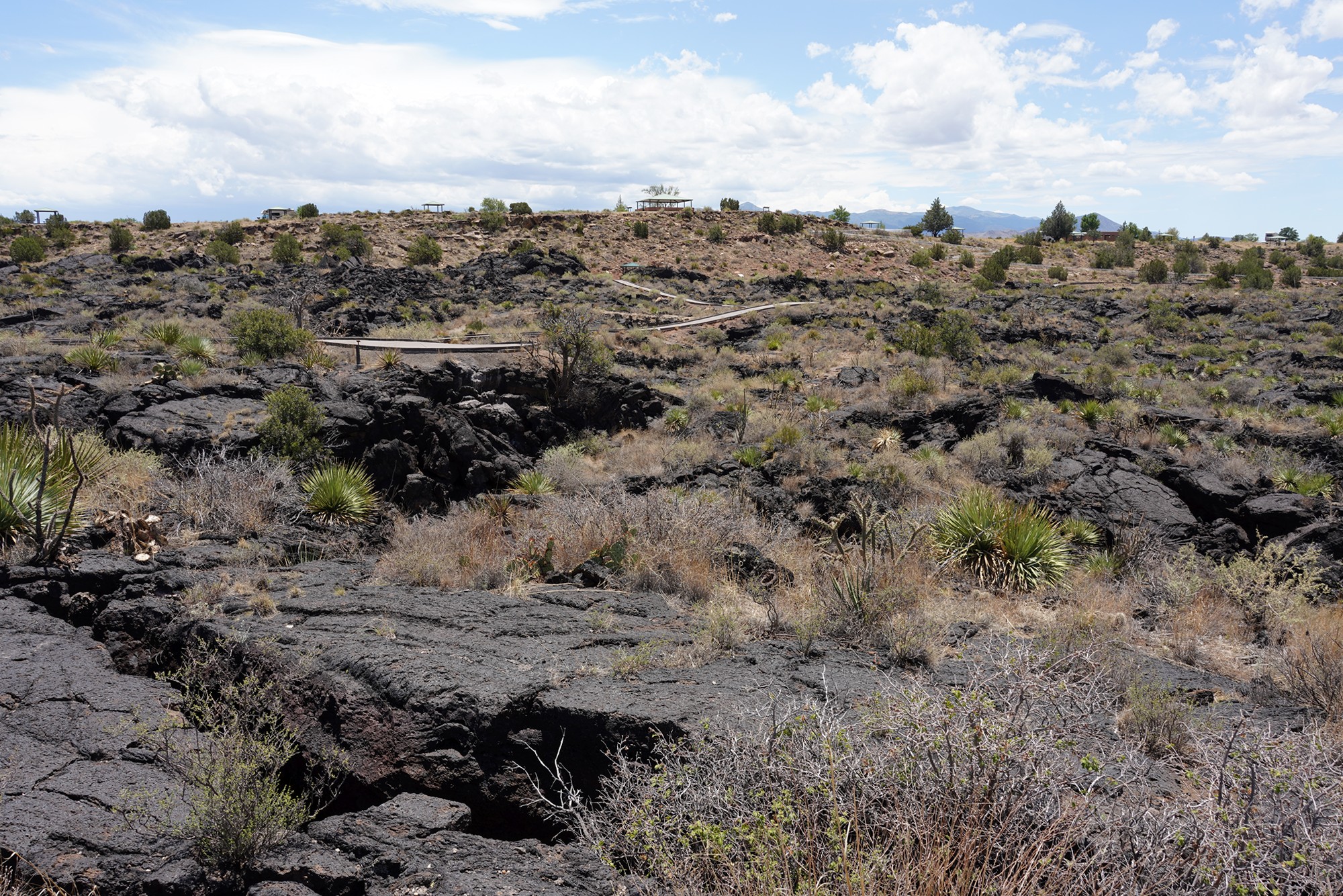 Valley of Fires Recreation (17)