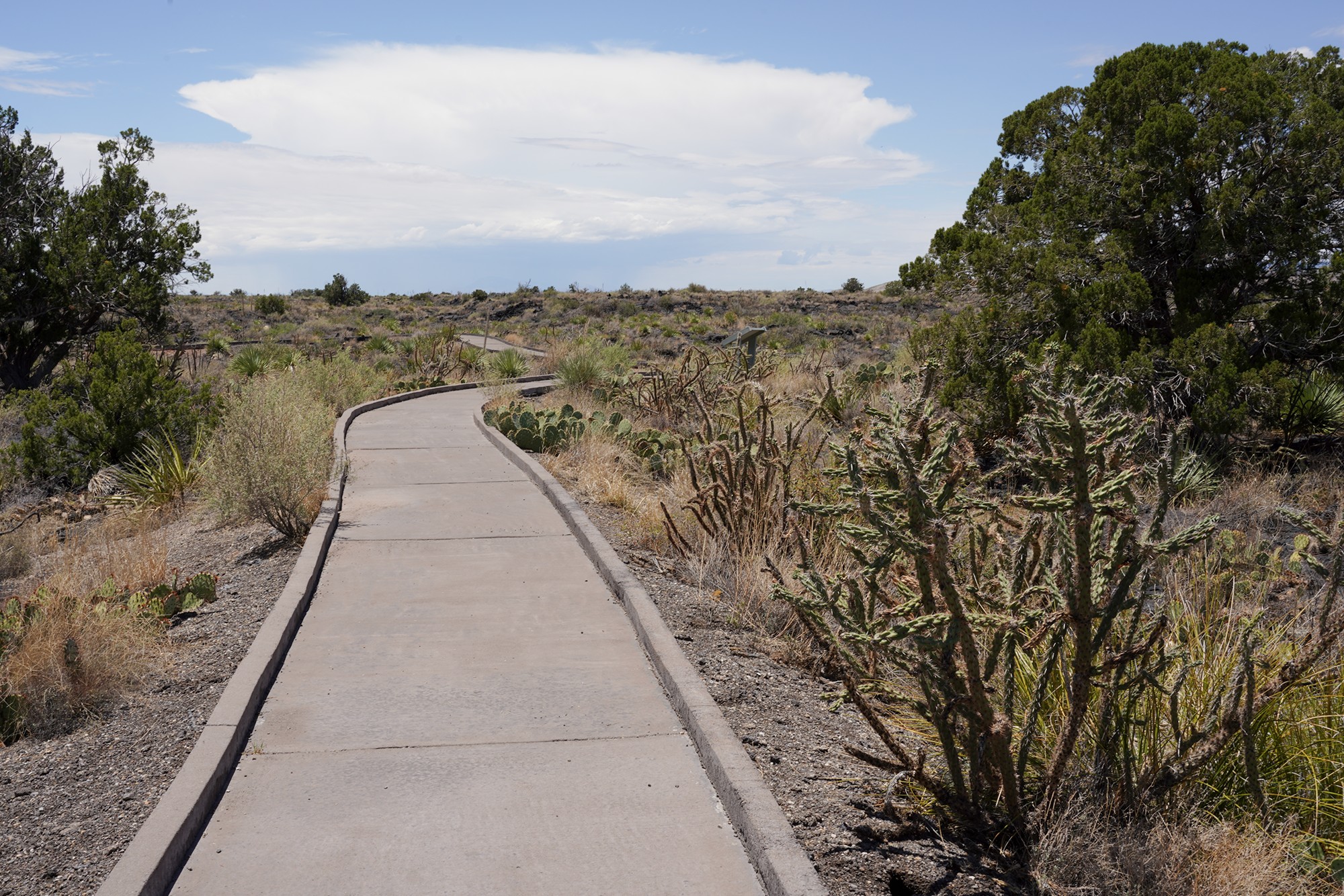 Valley of Fires Recreation (18)
