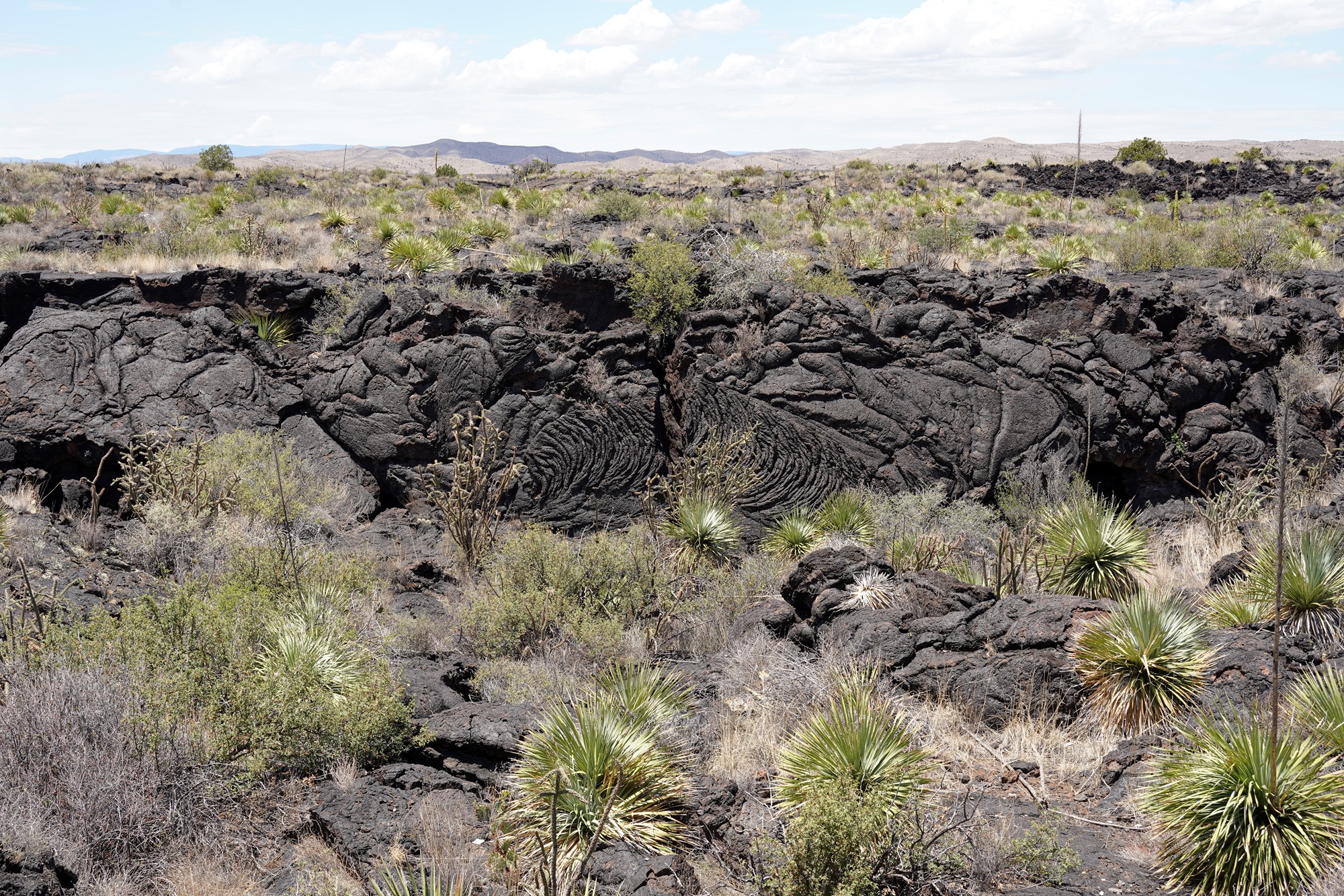 Valley of Fires Recreation (21)